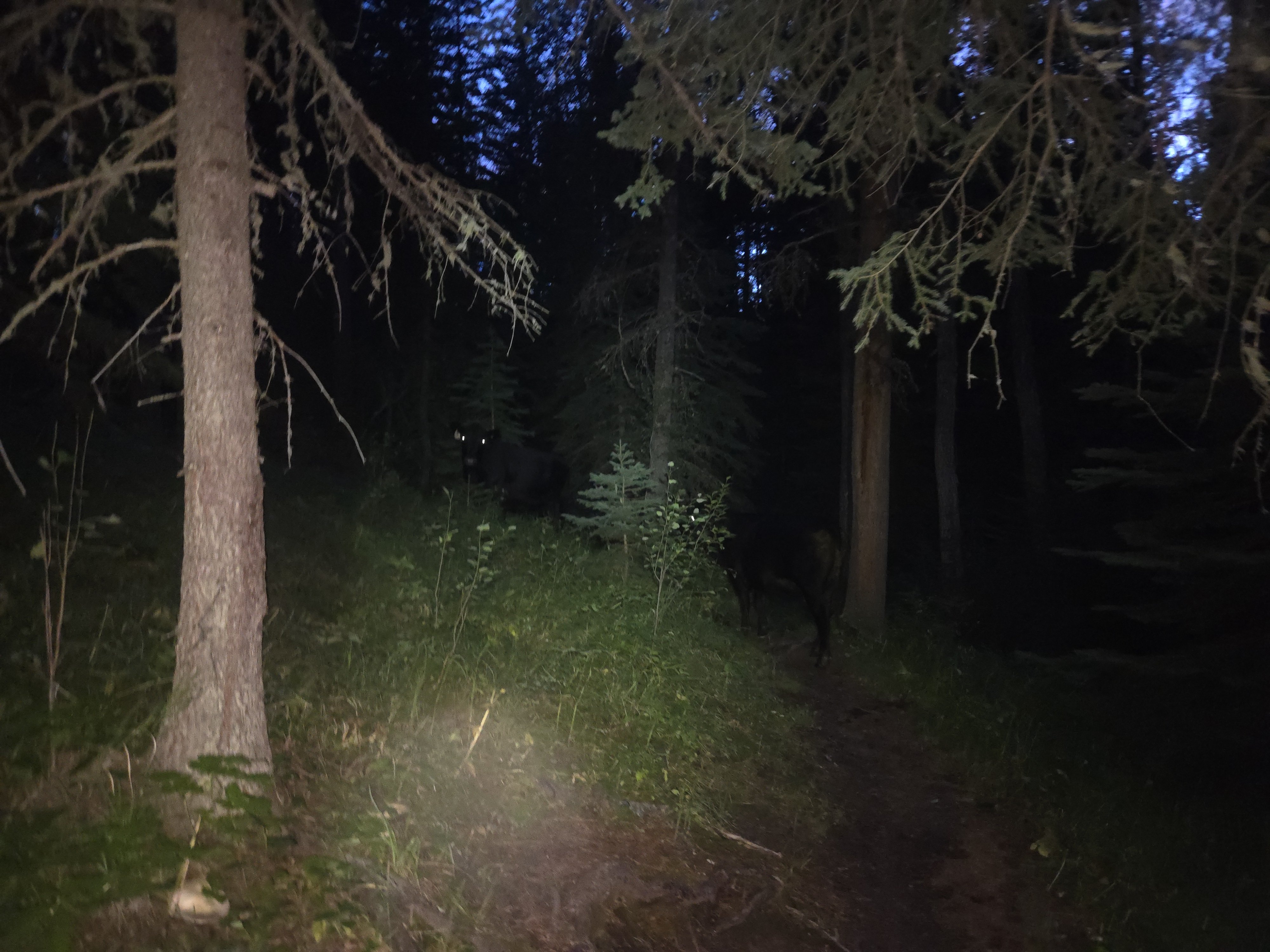 20250816_213143.jpg