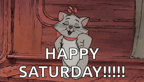 saturday-gif cat dance.gif