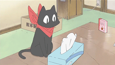 tissues GIF (1).gif