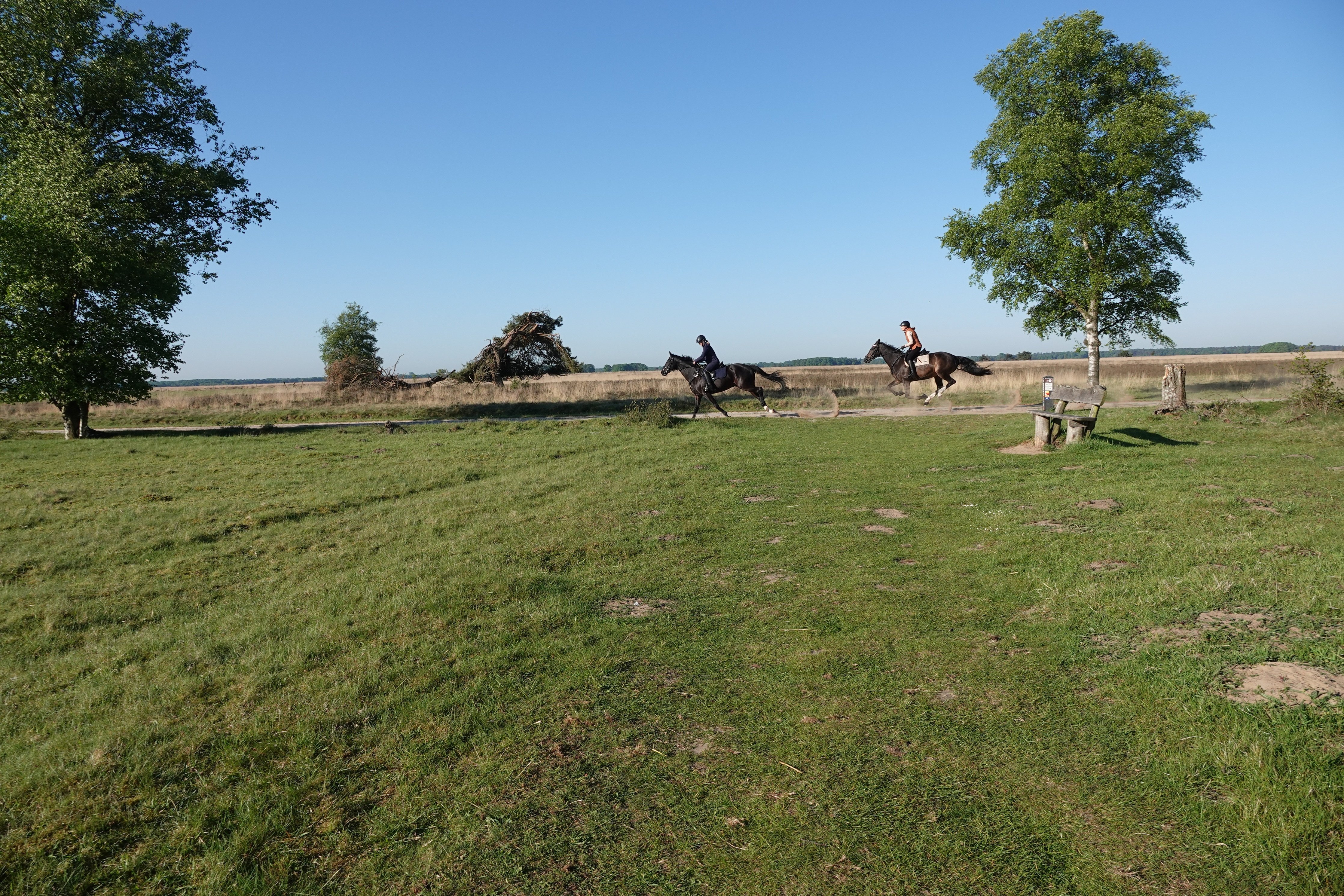 DSC09078.JPG