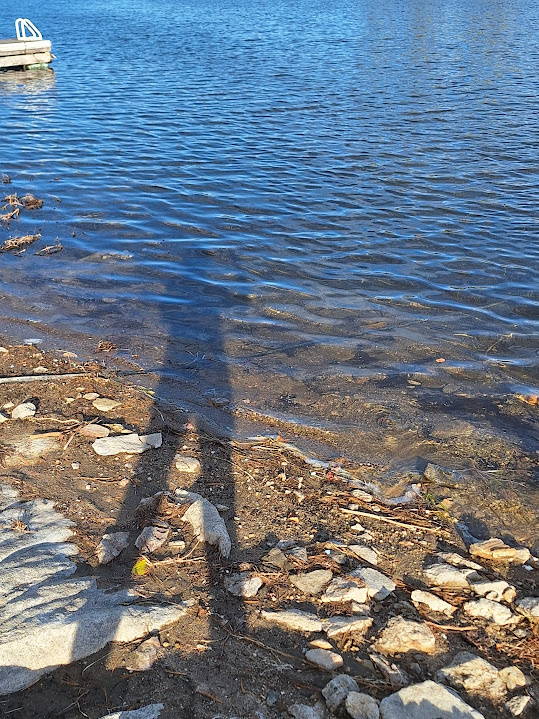 20250920_172205.jpg