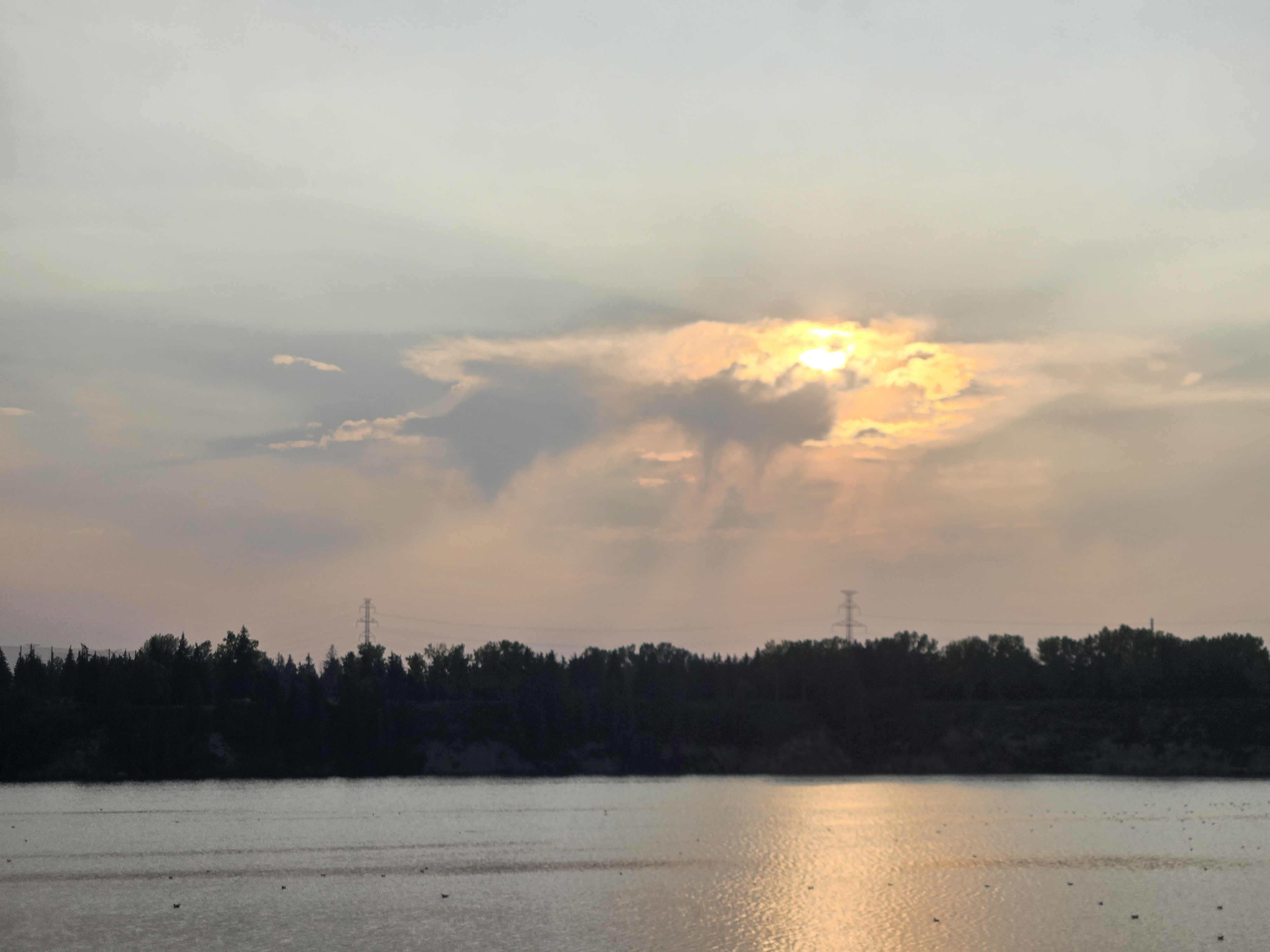 20250906_190855.jpg