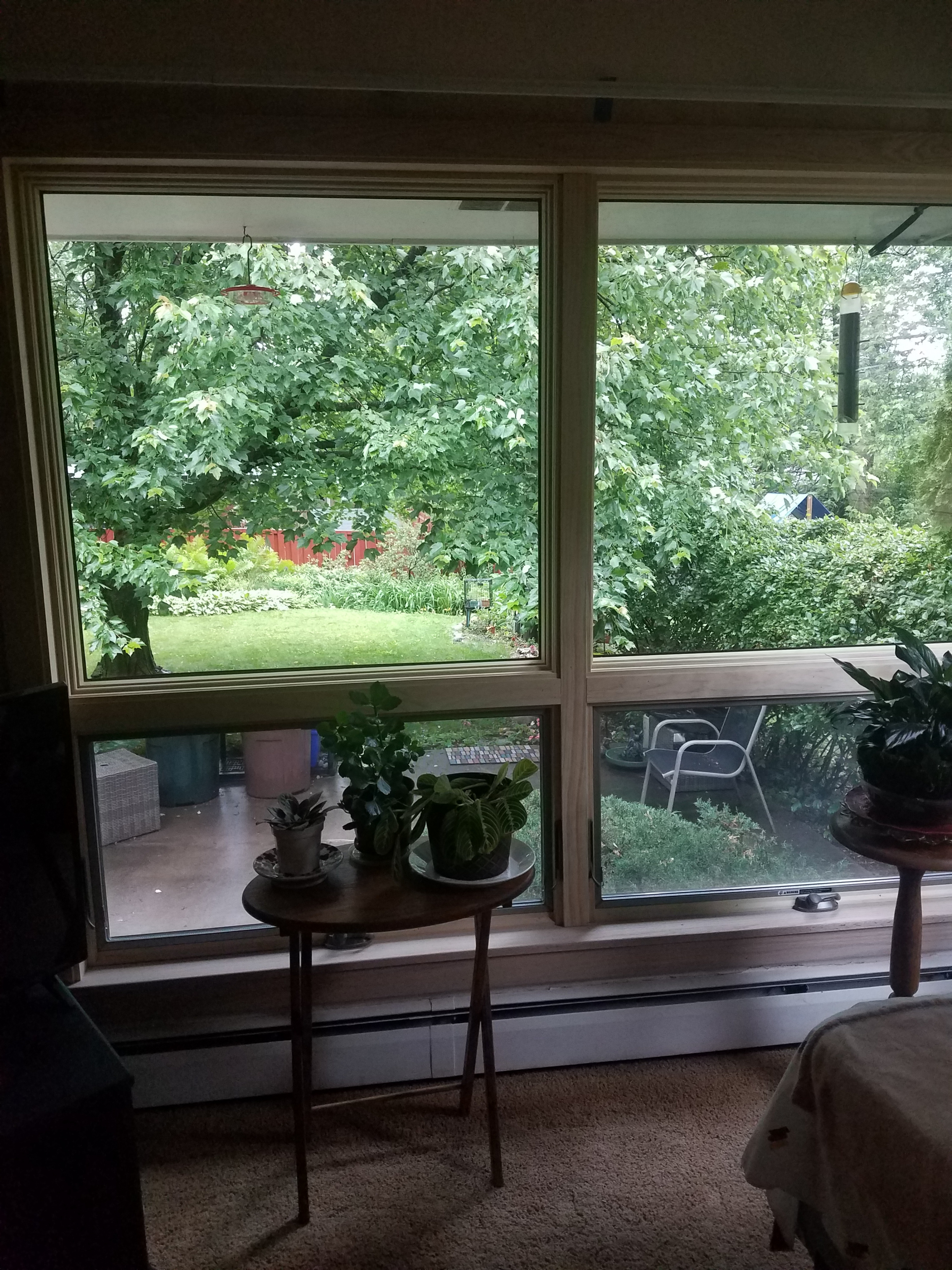 20250613_093338.jpg