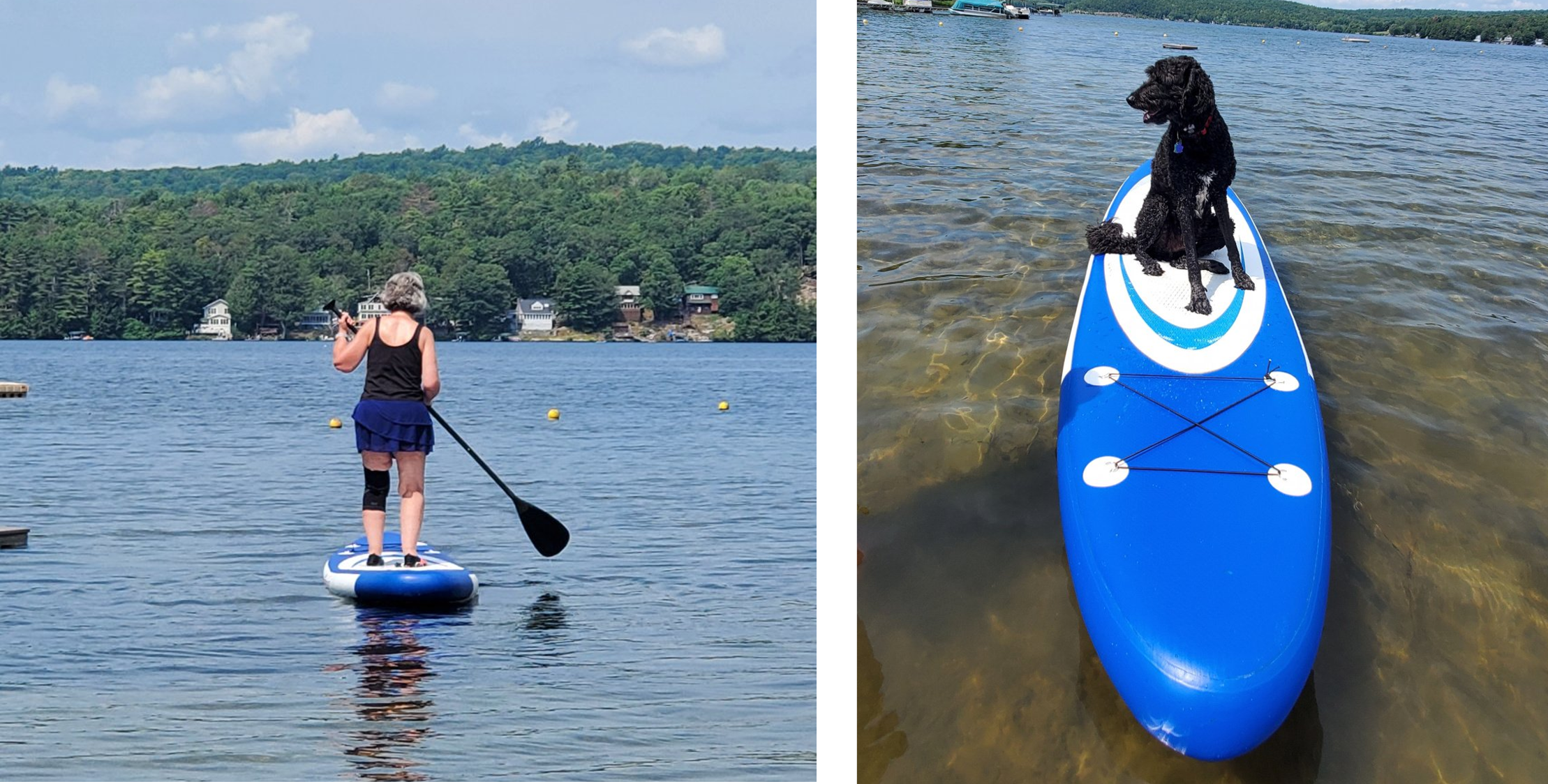 Paddleboards.png