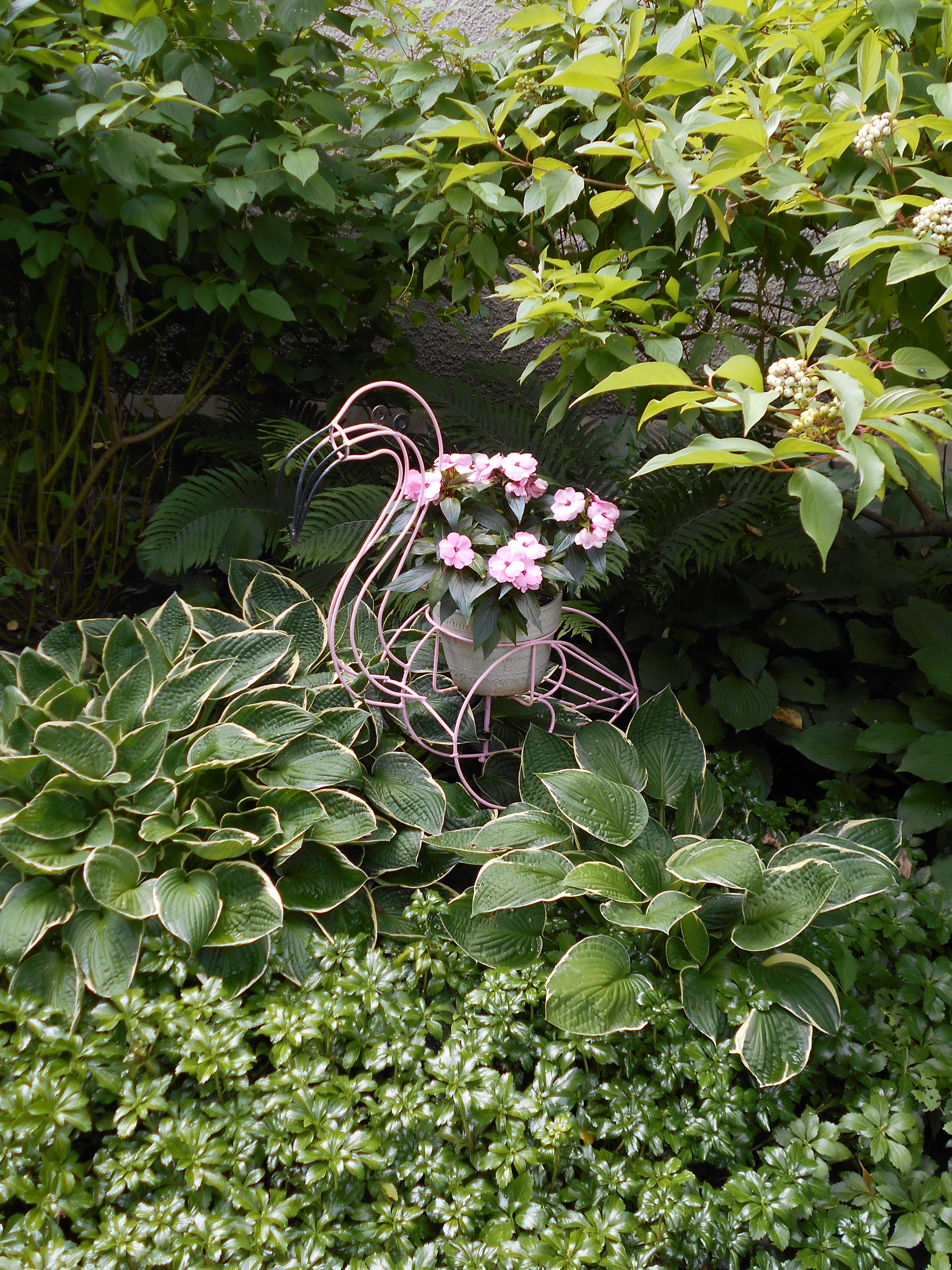 DSCN0810.JPG