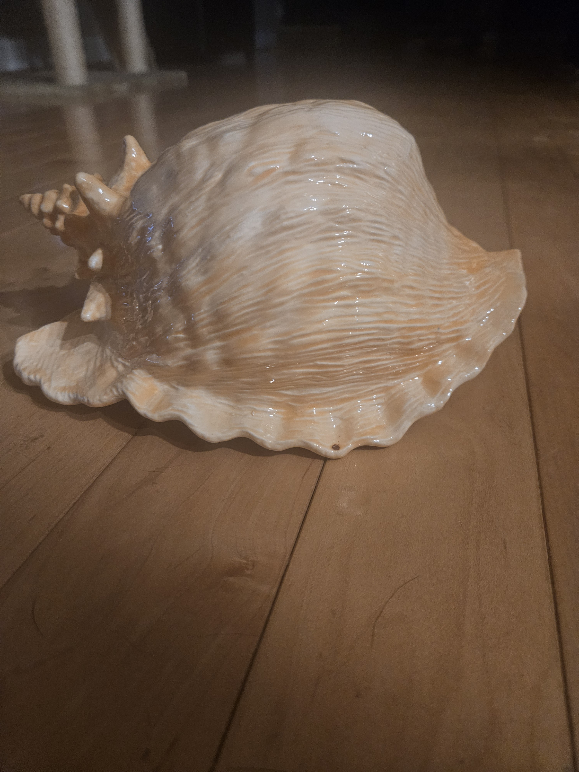 Shell.jpg