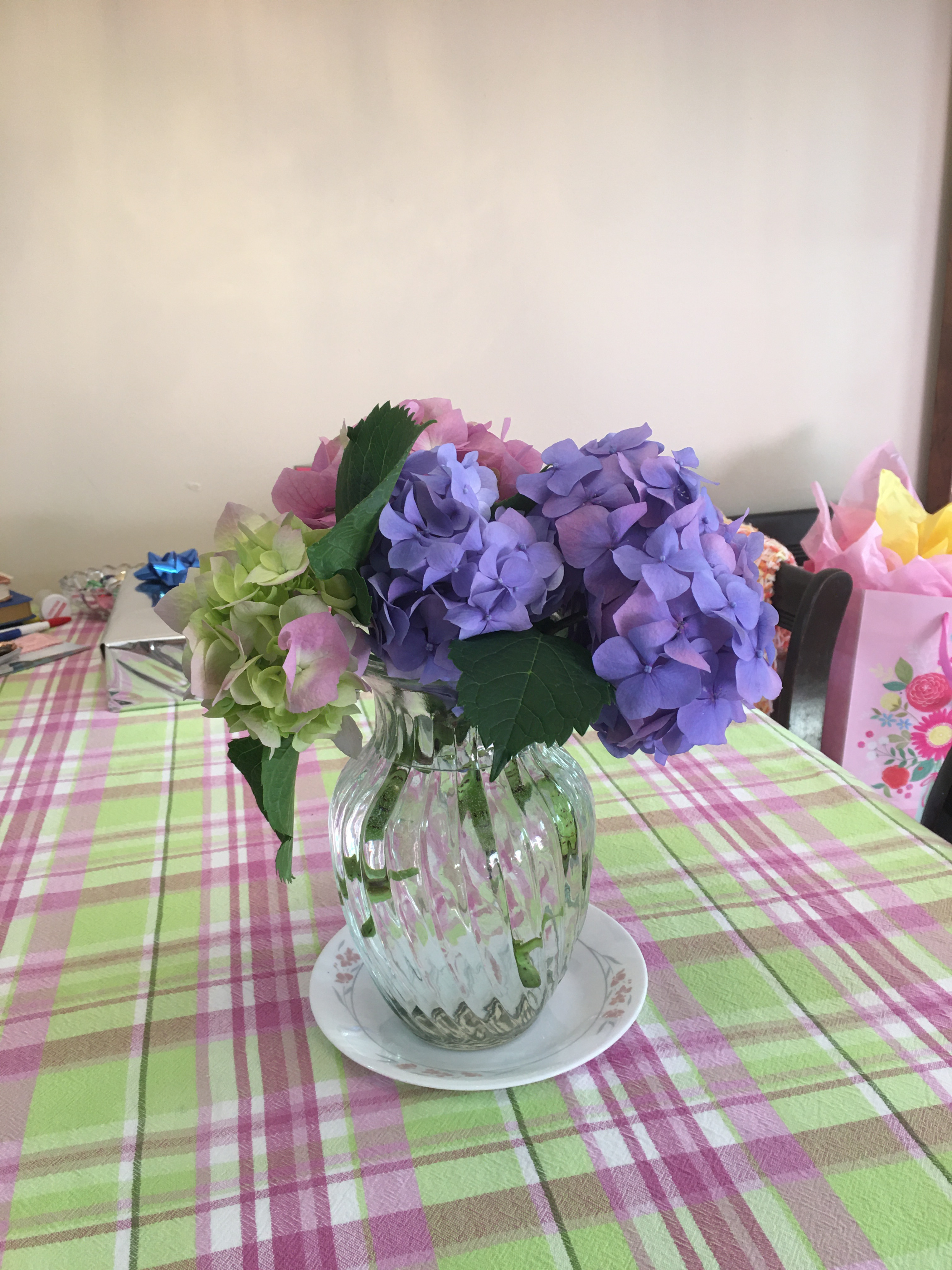 IMG_6691.jpeg