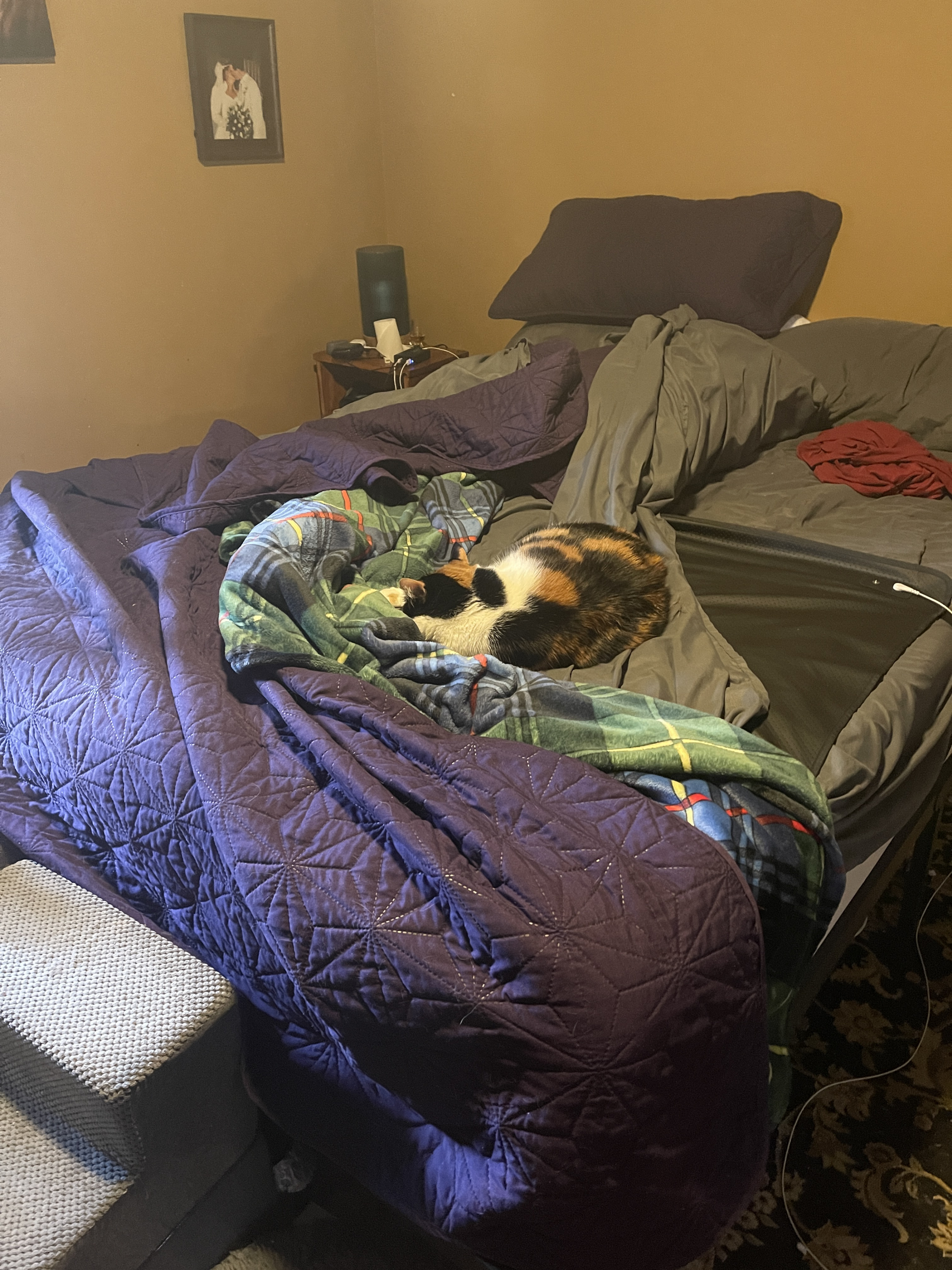 IMG_4325.jpeg