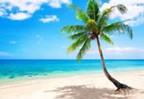 opening beach photo.jpeg