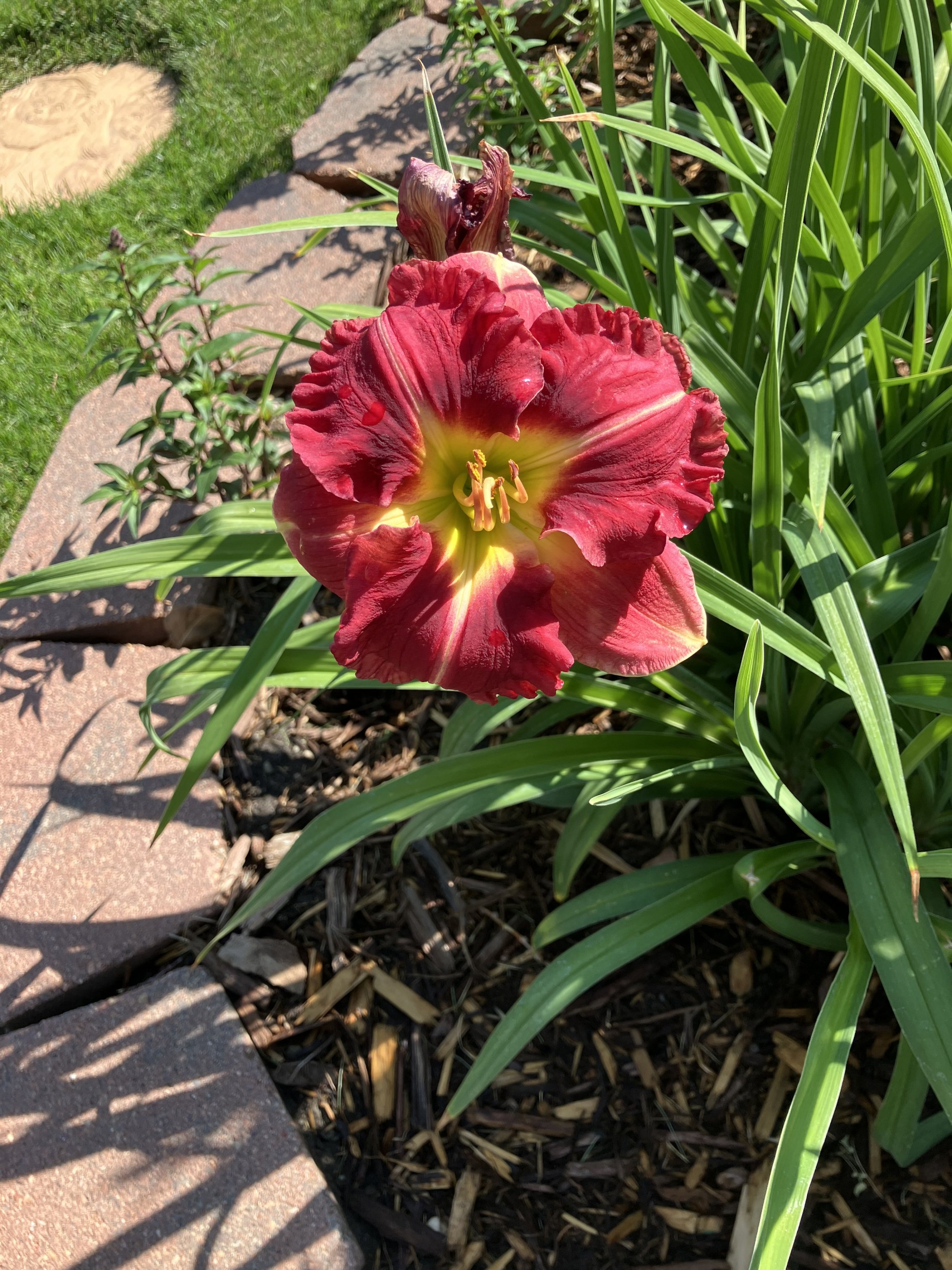 IMG_4907.jpeg