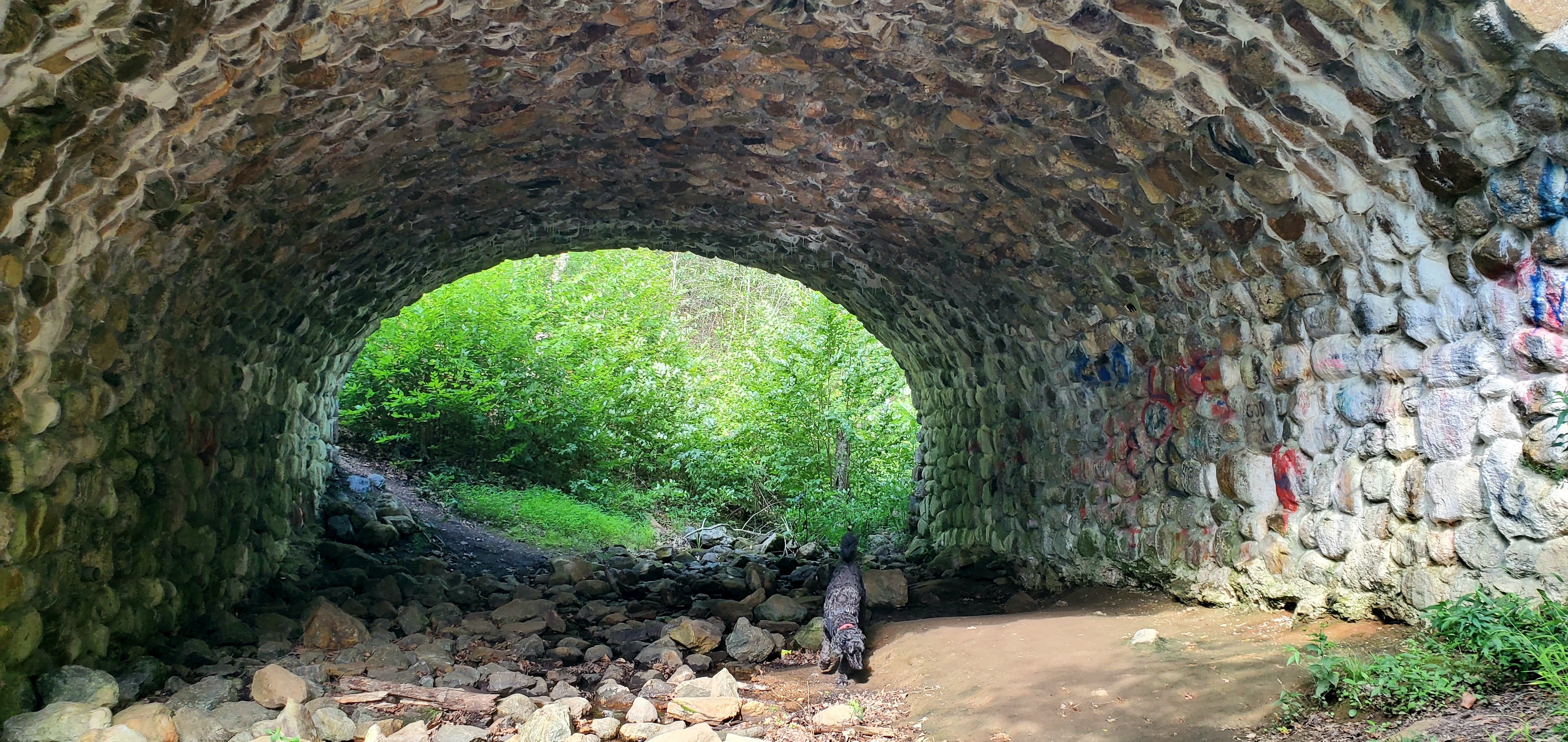 20250724_091748.jpg