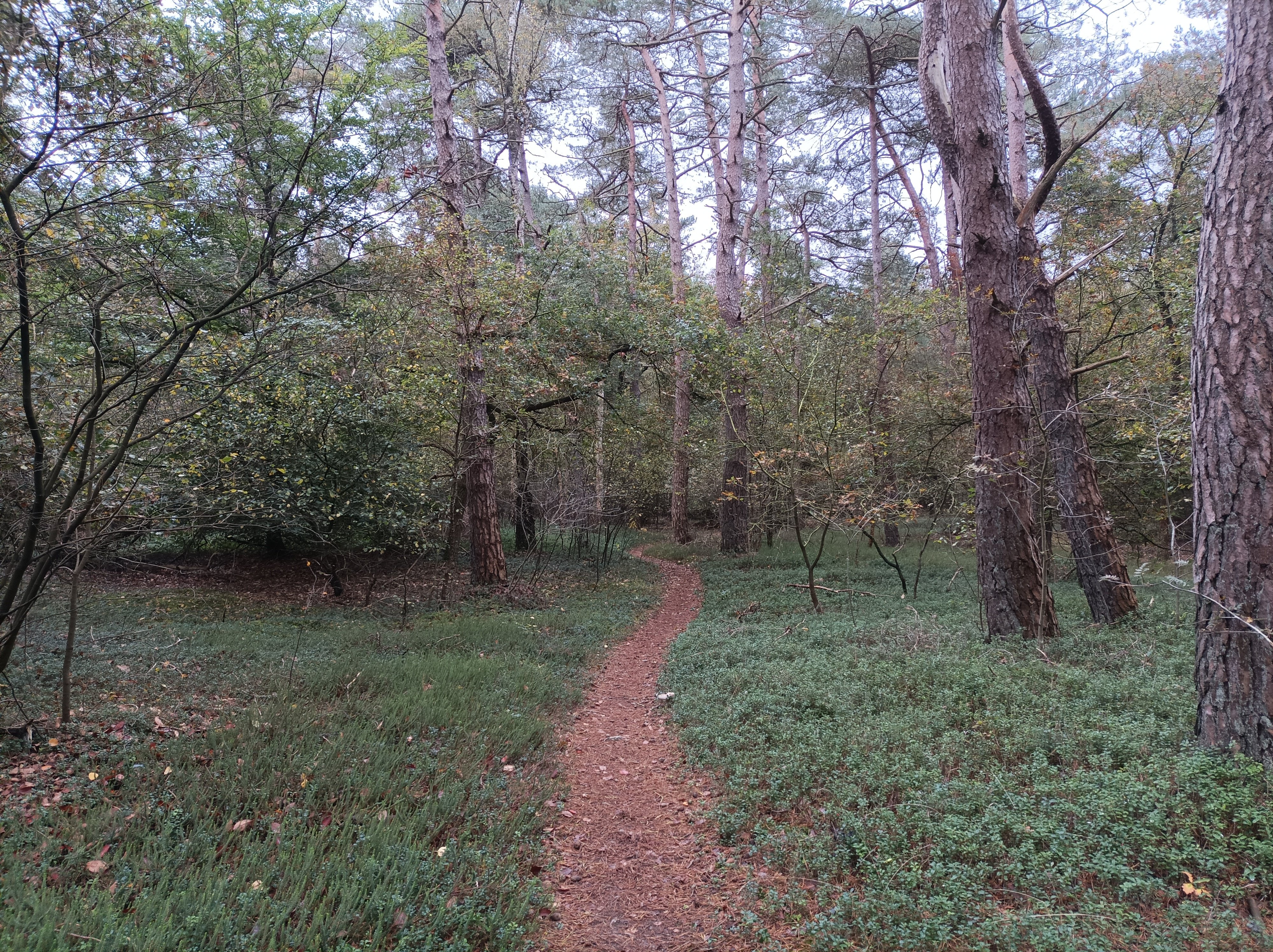 1760520747183.jpg