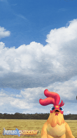 Chicken Storm GIF by Wind Sun Sky Entertainment.gif