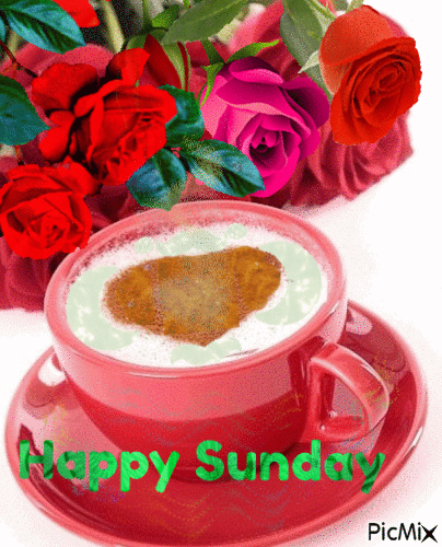 gif happy sunday.gif