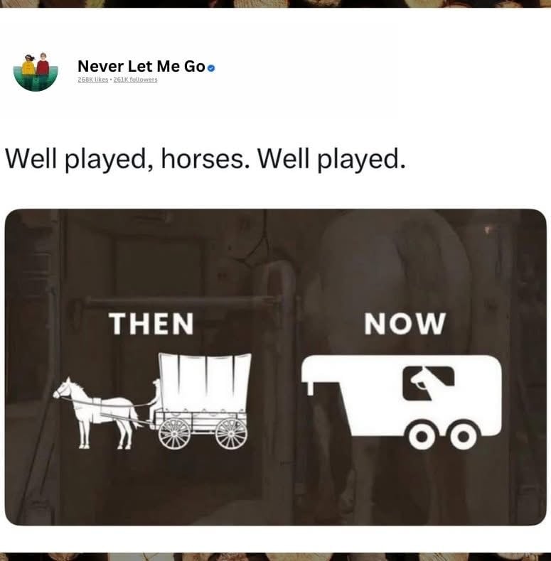 1000018019.jpg