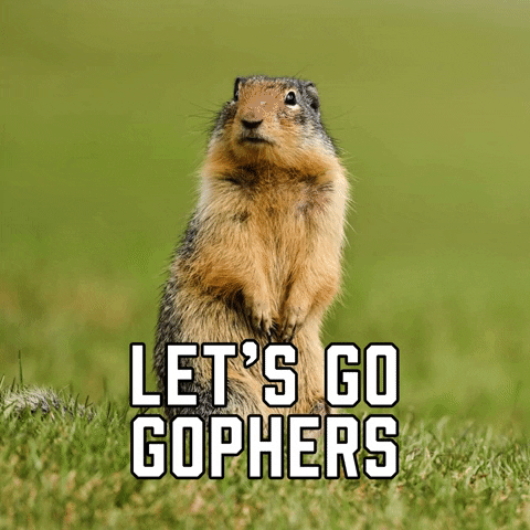 College Football GIF by Sealed With A GIF.gif