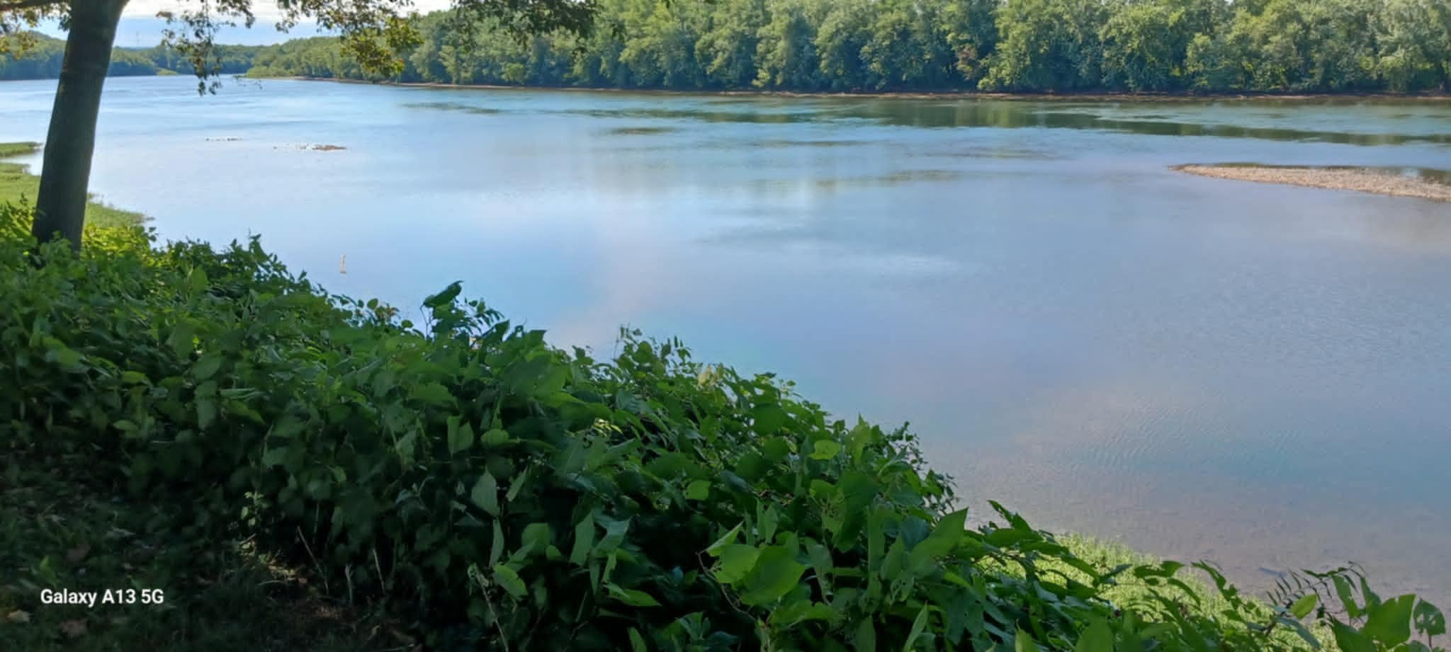 river.jpeg