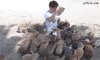 man rabbits GIF.gif