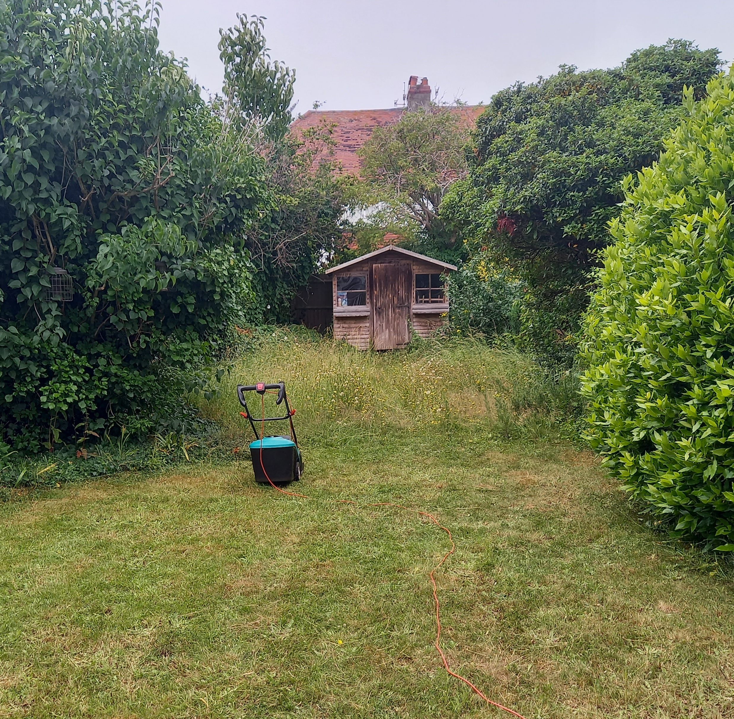 20250627_134845.jpg