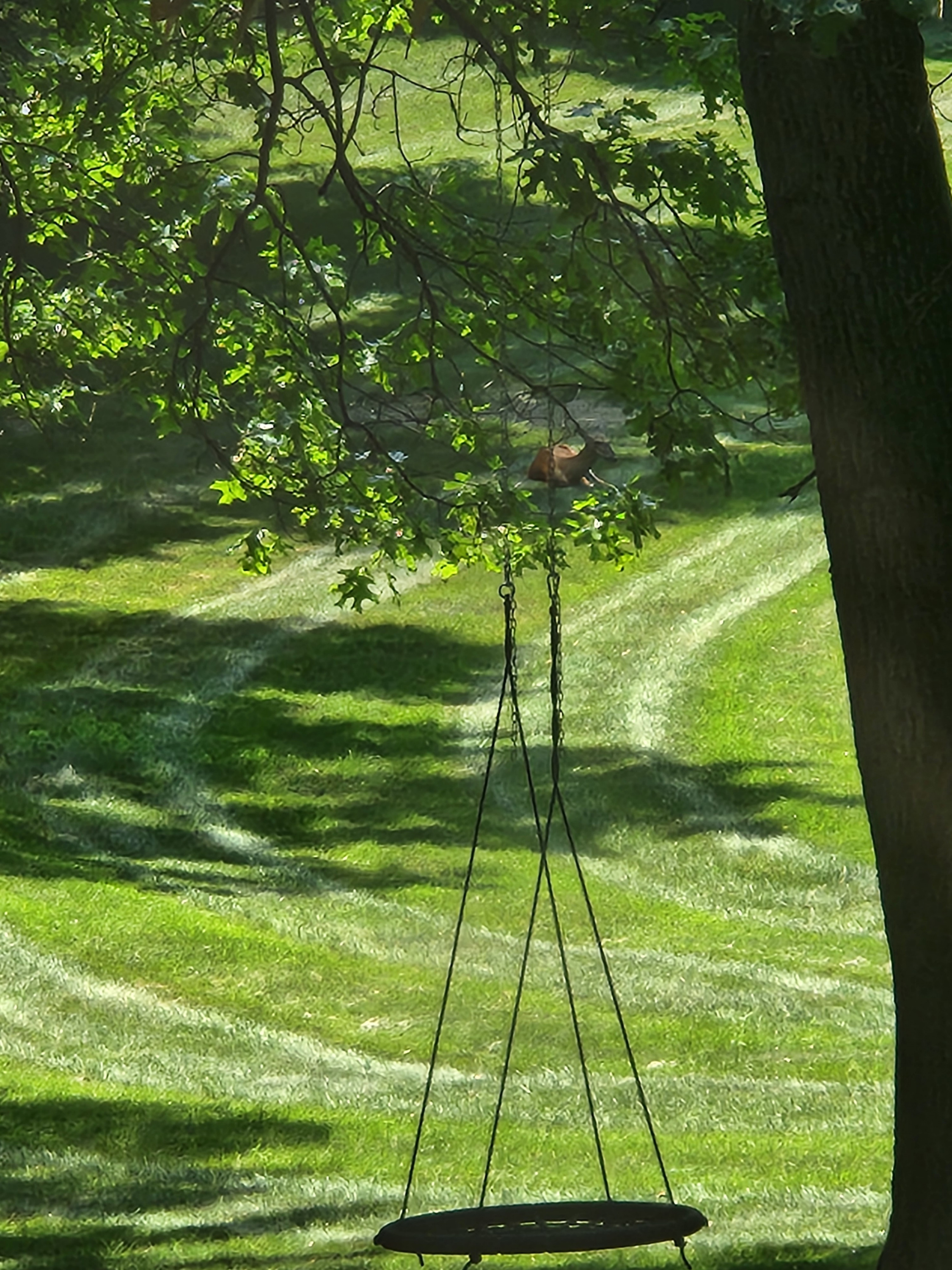 20250703_123916.jpg