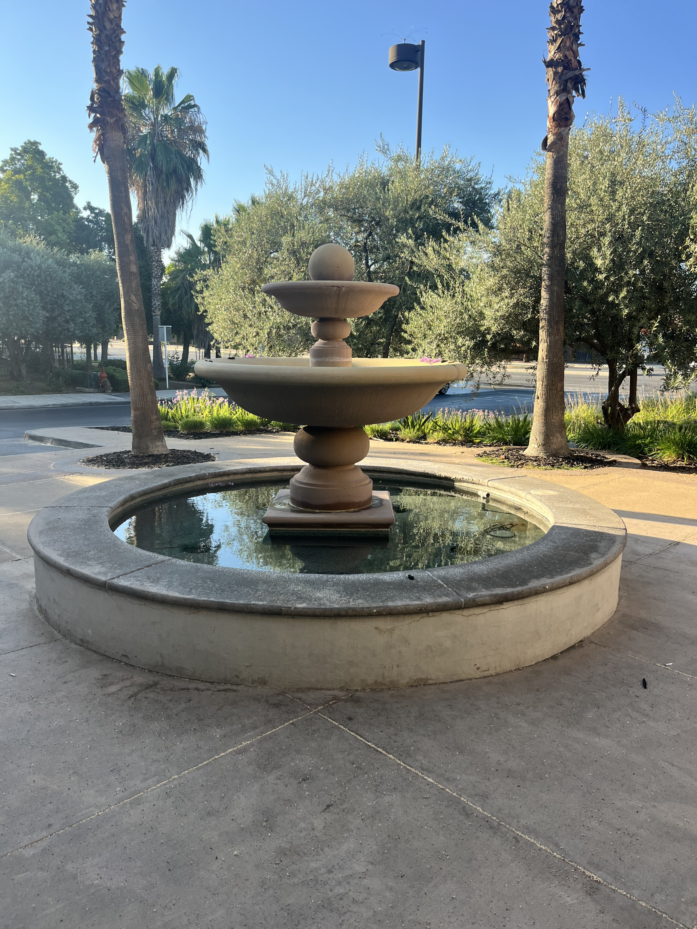 IMG_2767.jpeg