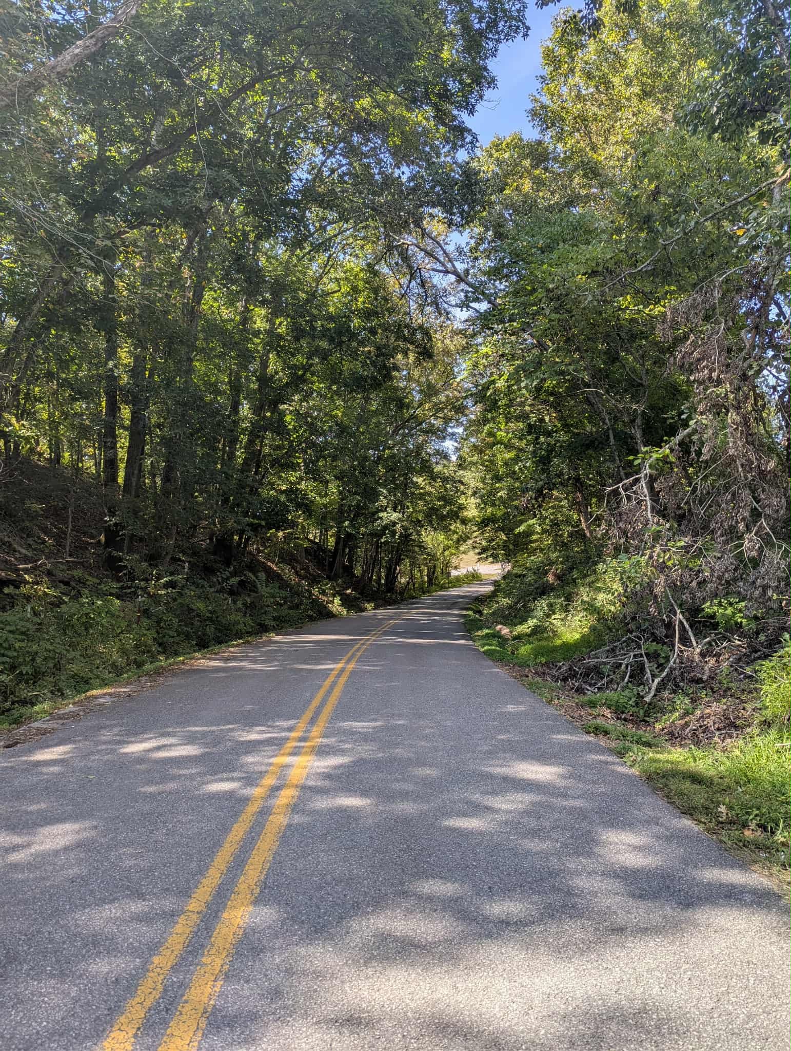 road downhill.jpg