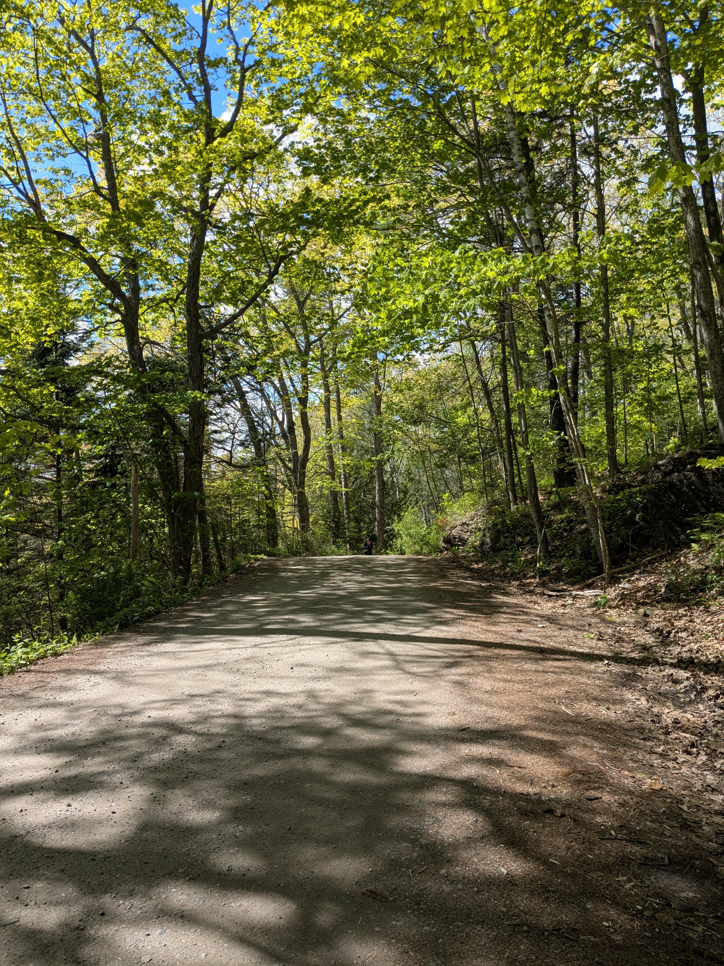05 26 25  Rockland Harbor, ME 8   Rockport Shore Trail.jpg