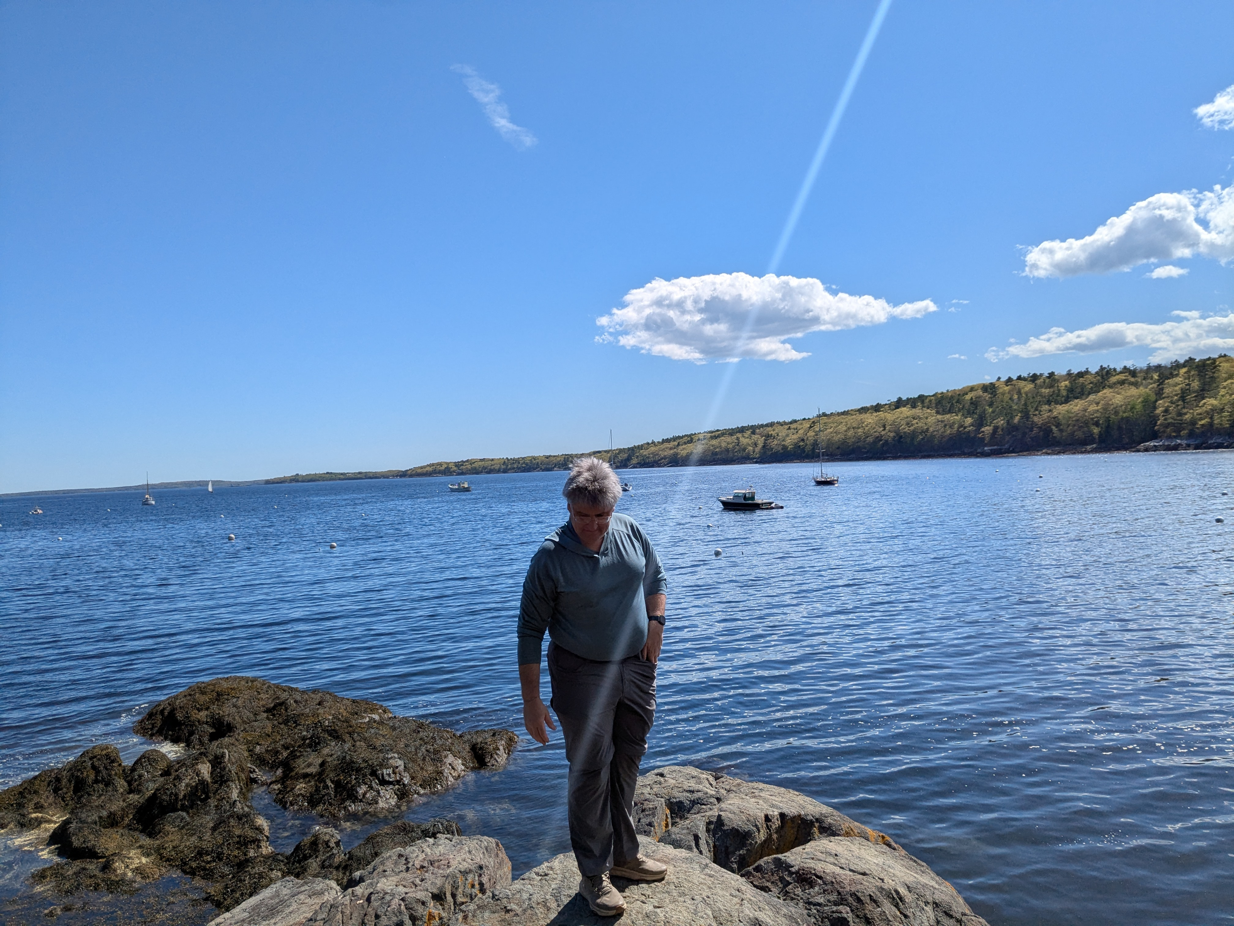 05 26 25  Rockland Harbor, ME 11   Rockport Shore Trail.jpg