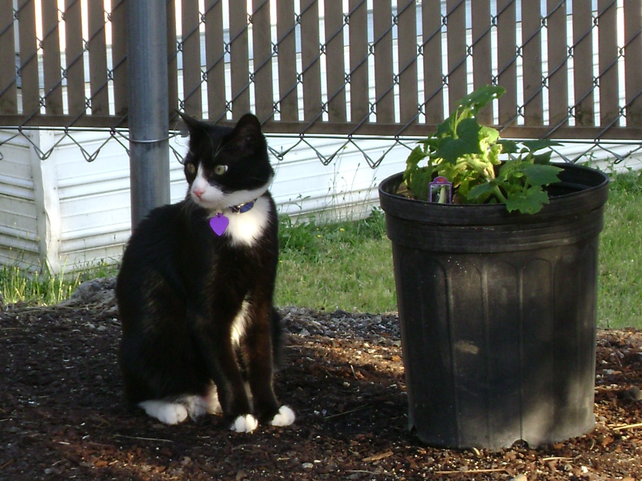 DSC00781.JPG