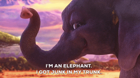 elephant GIF by Lil Dicky (2).gif