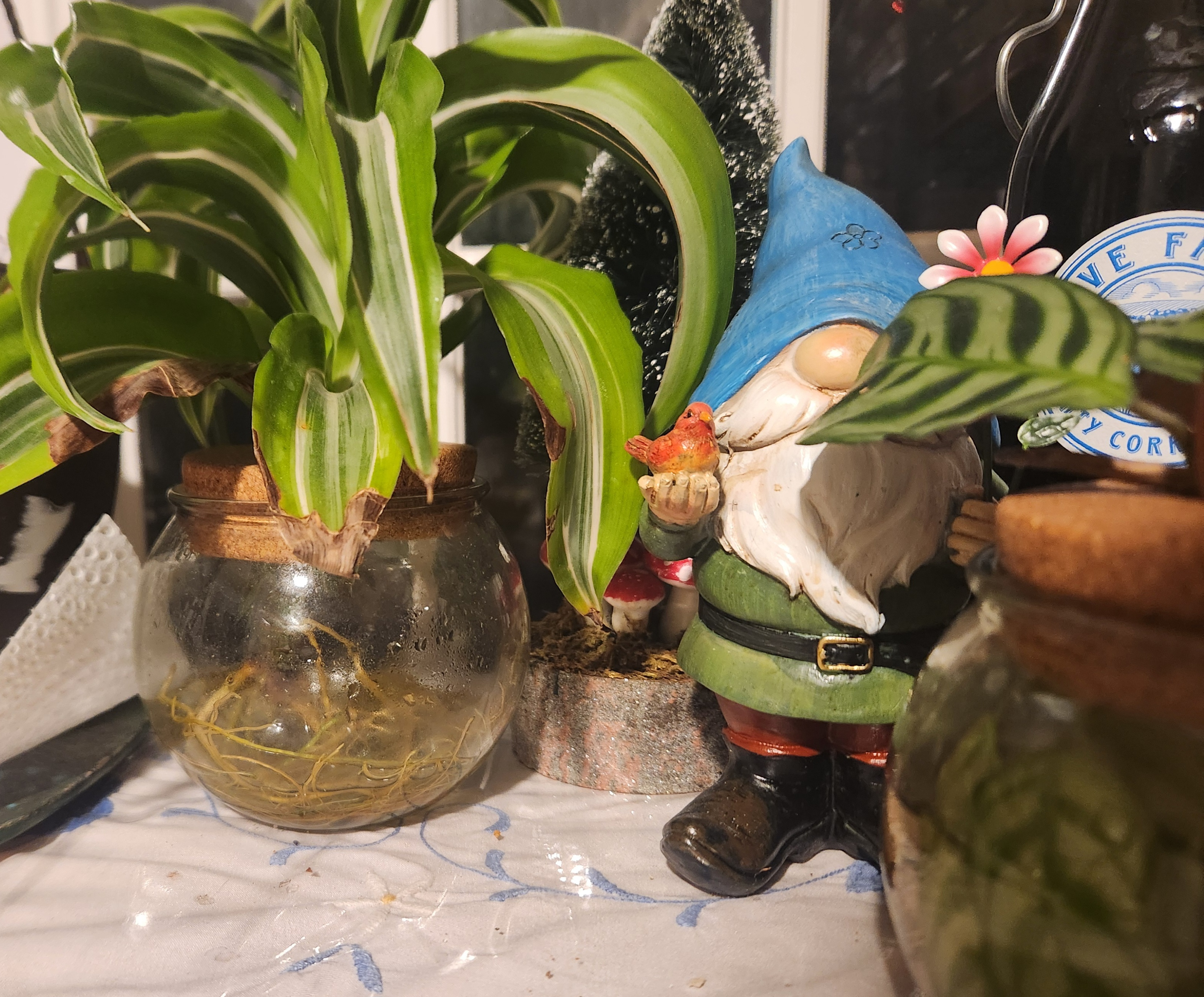 20250730_054600.jpg