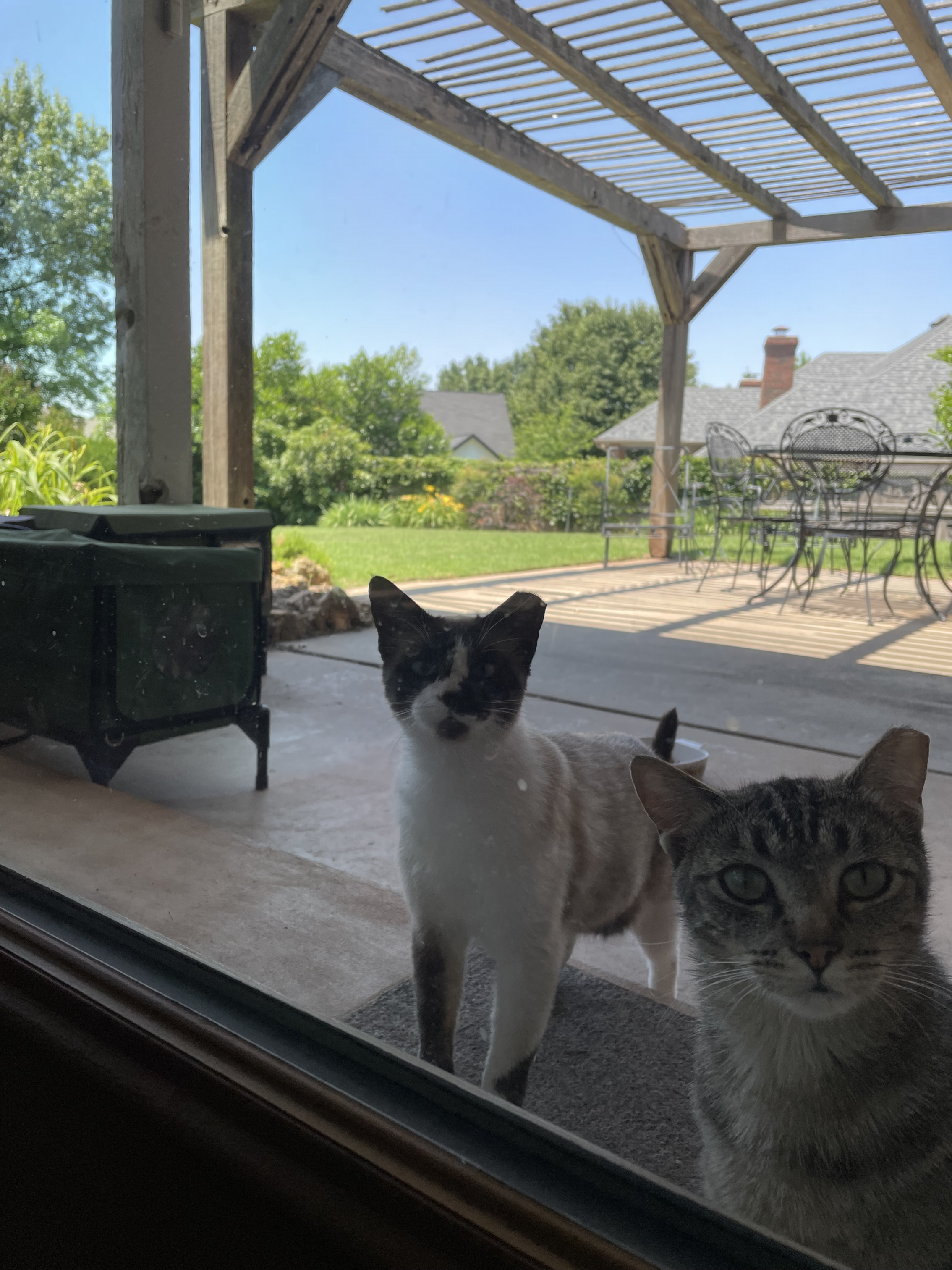 IMG_7820.jpeg
