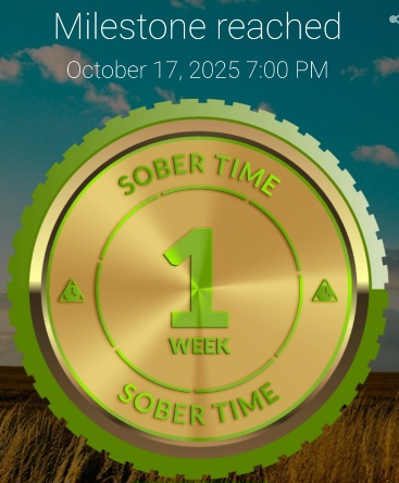 Screenshot_20251019_113056_Sober Time.jpg