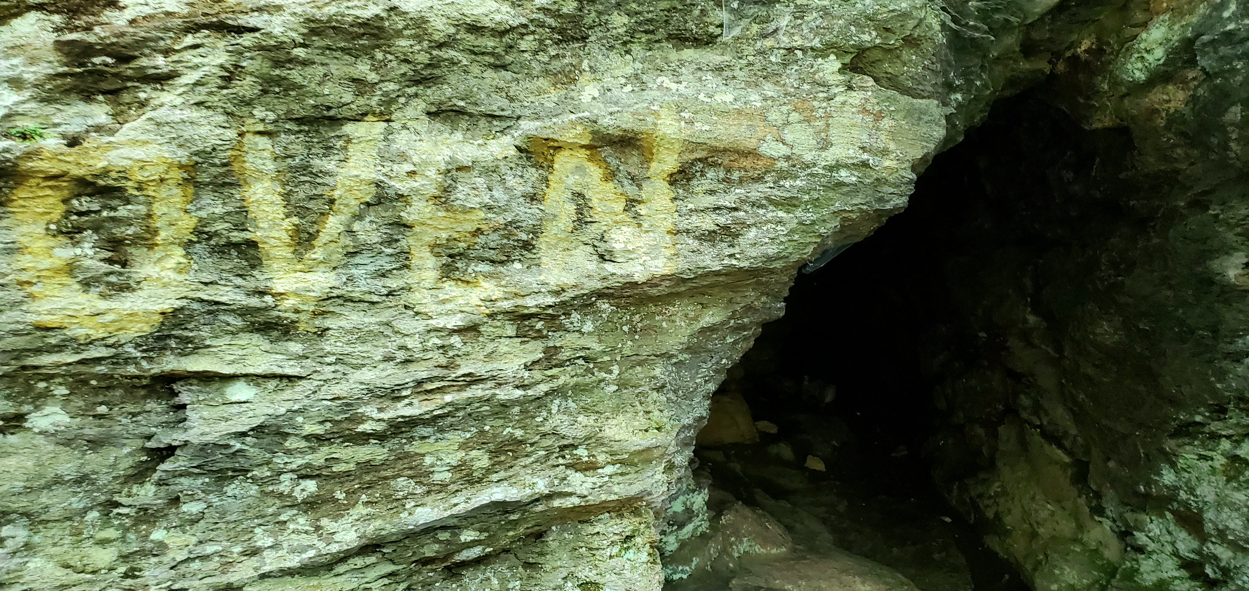 20250724_103806.jpg