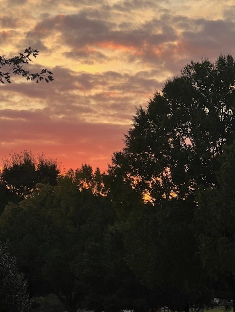 sky10.19.25b.jpg
