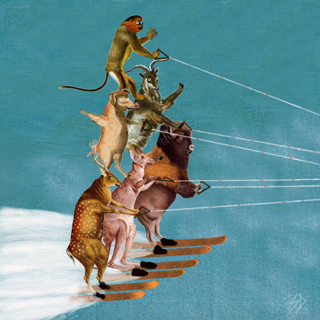 noah's ark waterskiing GIF by Scorpion Dagger.gif