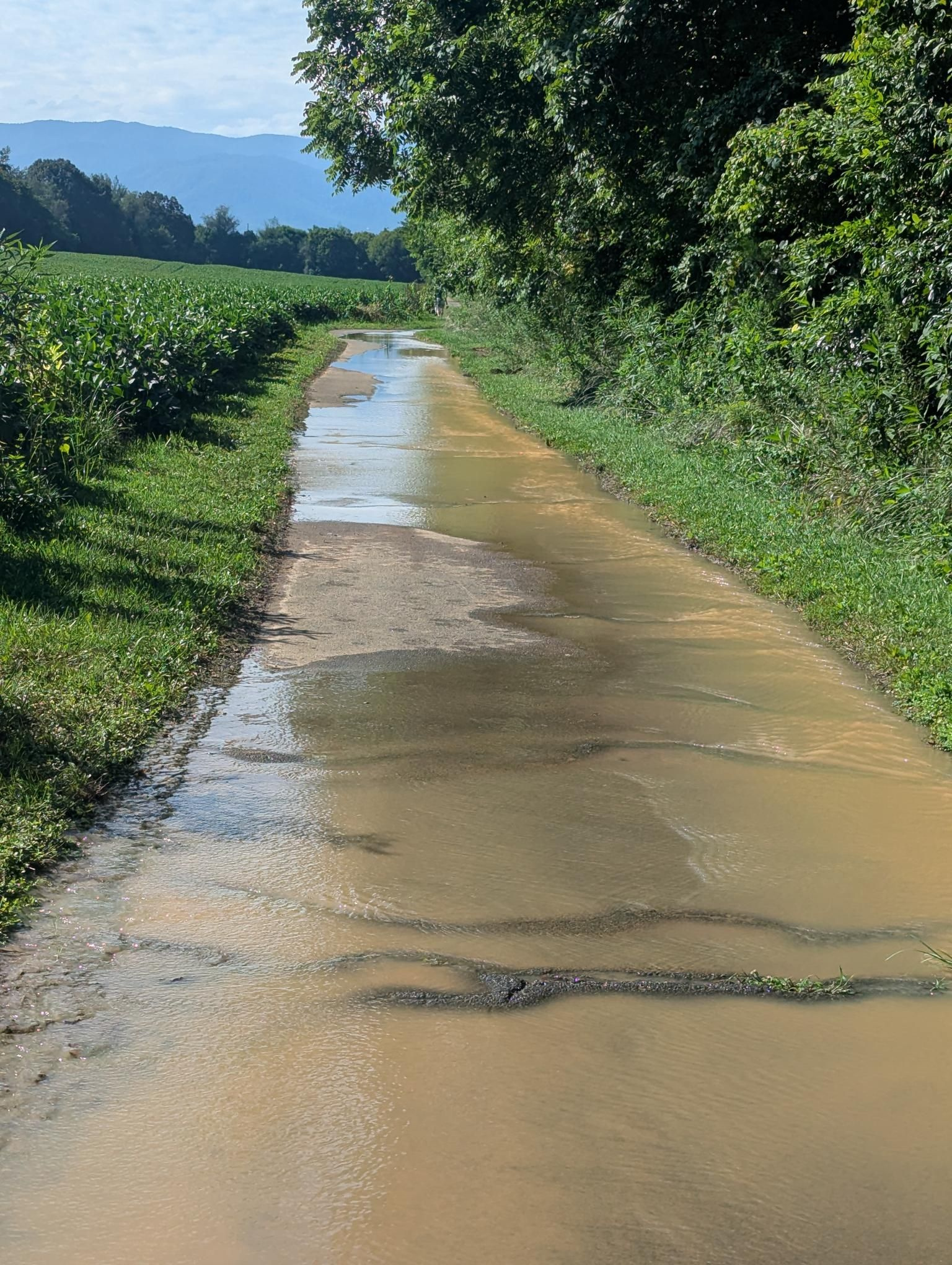 birthday run flooded path.jpg