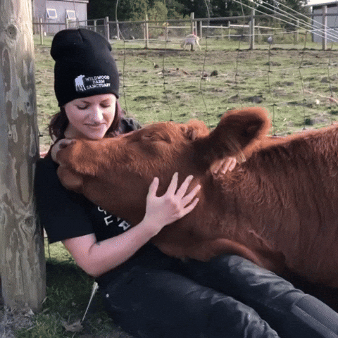 Aww Love GIF (1).gif