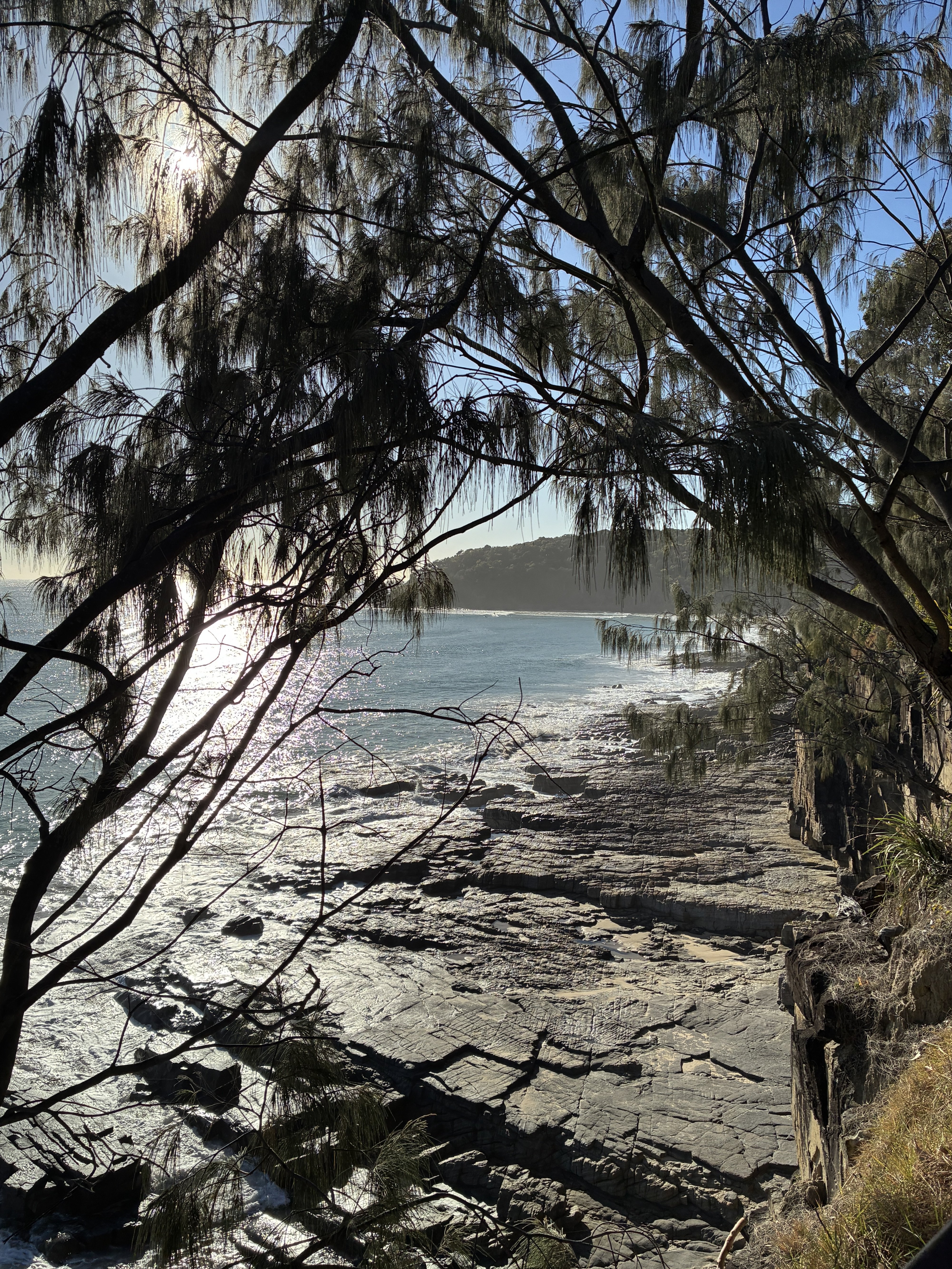 IMG_7946.jpeg