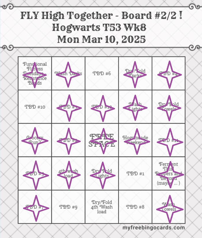 Bingo Fly High Together 03 10 25 Weekly Focus Bingo! a Board #2 of 2 b2, cropped, and checking off done tasks.jpg