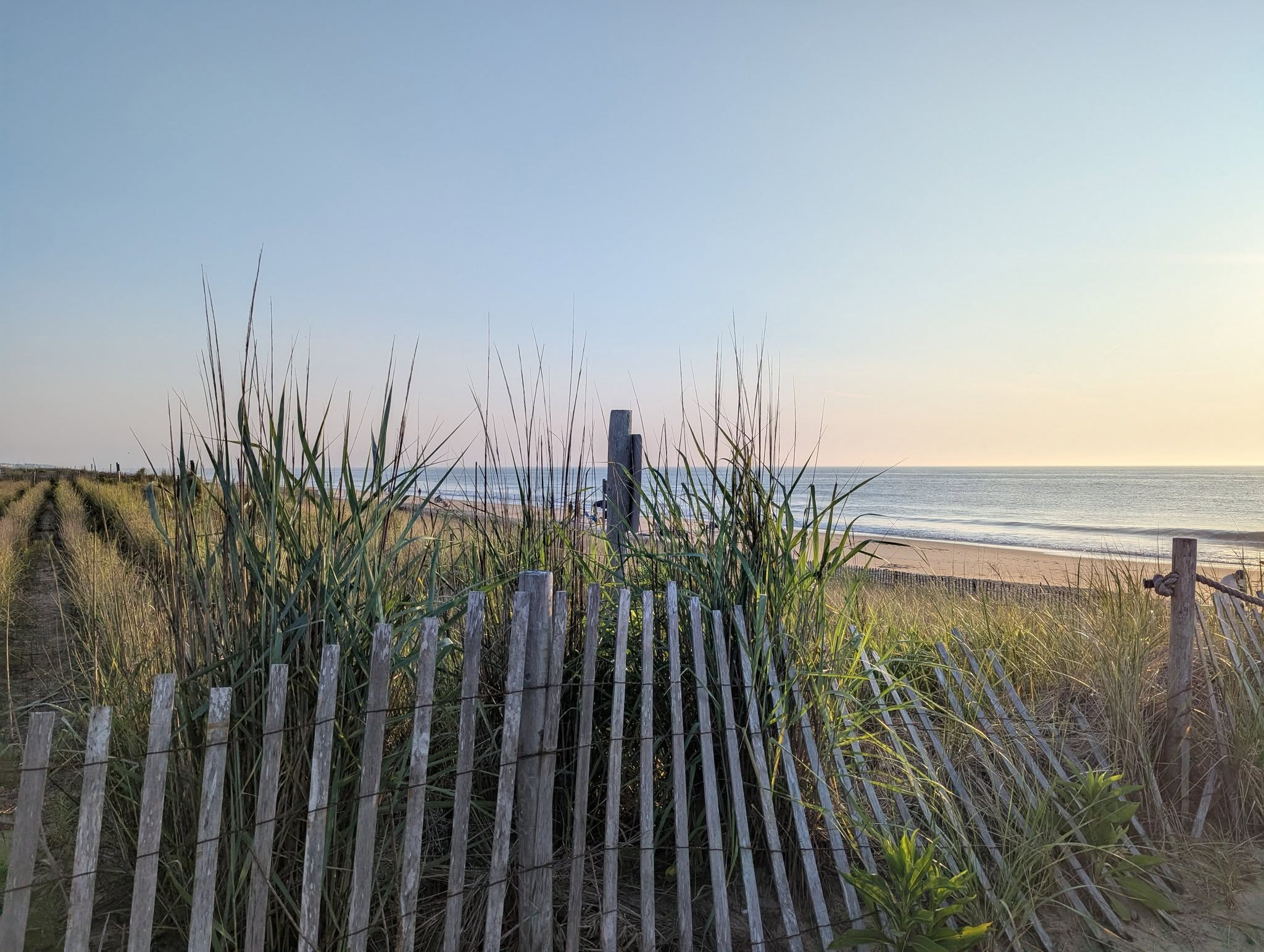 beach the day of the race.jpg