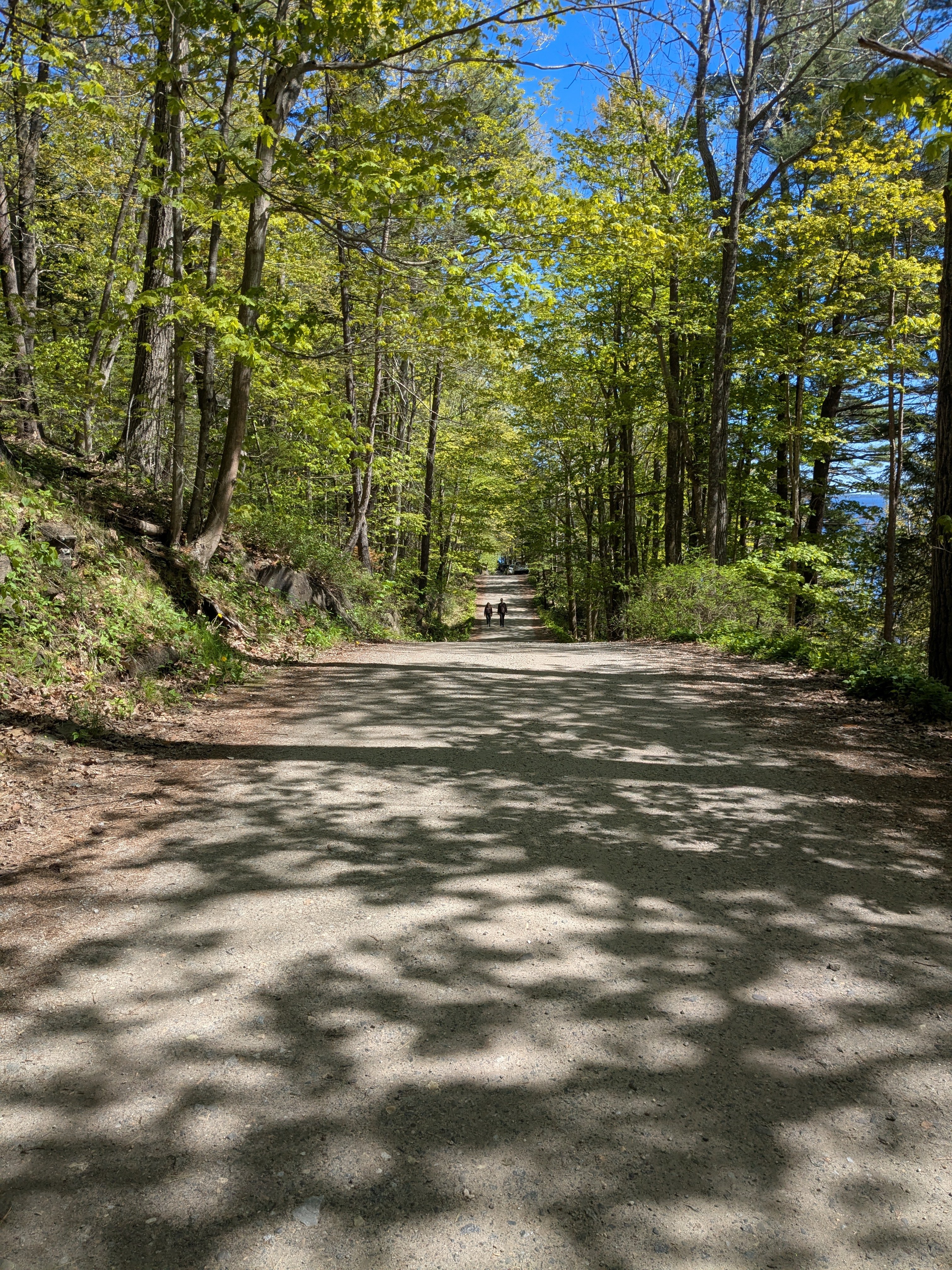 05 26 25  Rockland Harbor, ME 9   Rockport Shore Trail.jpg