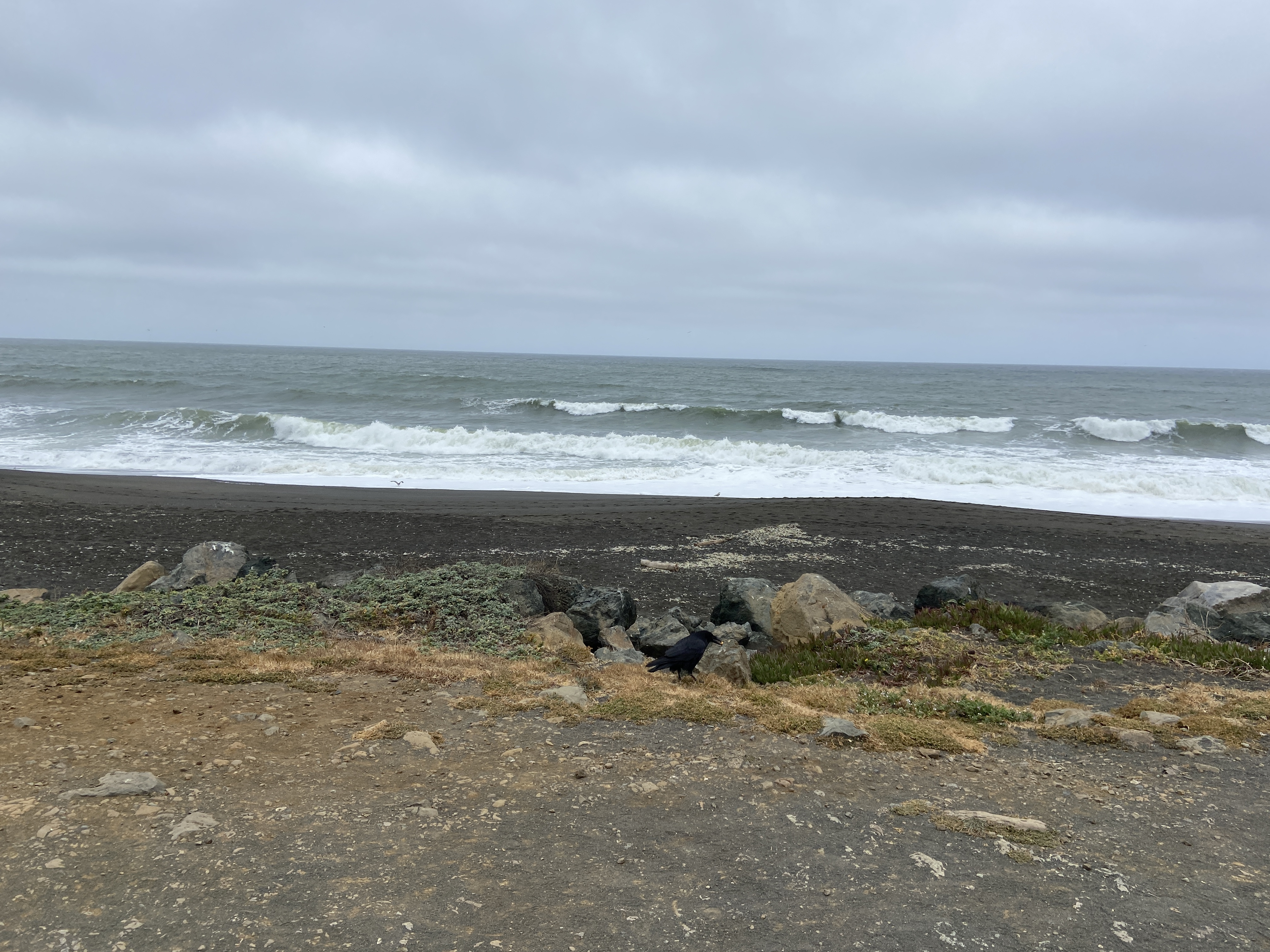 IMG_5297.jpeg