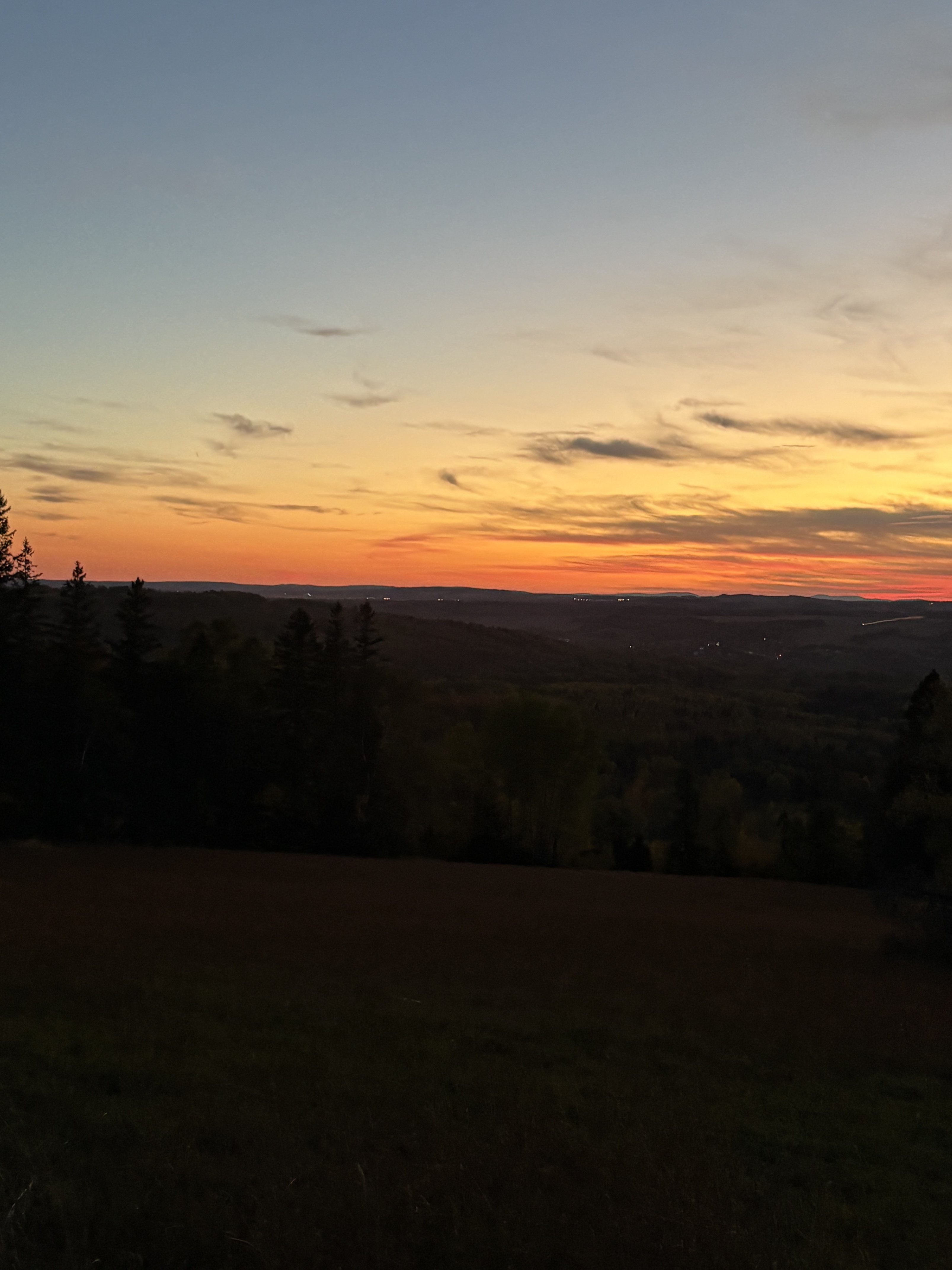 IMG_0319.jpeg