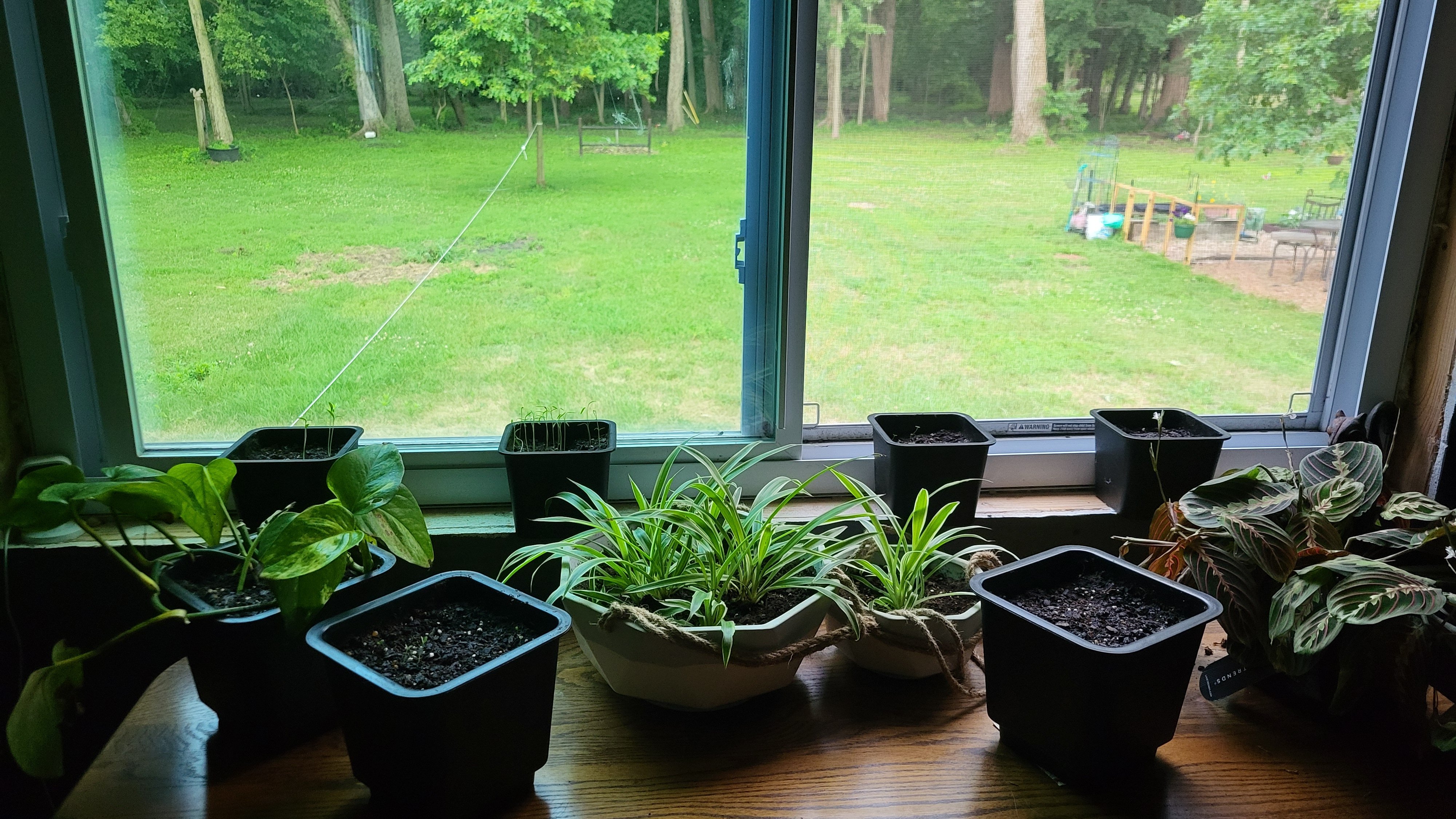 20250721_181419.jpg