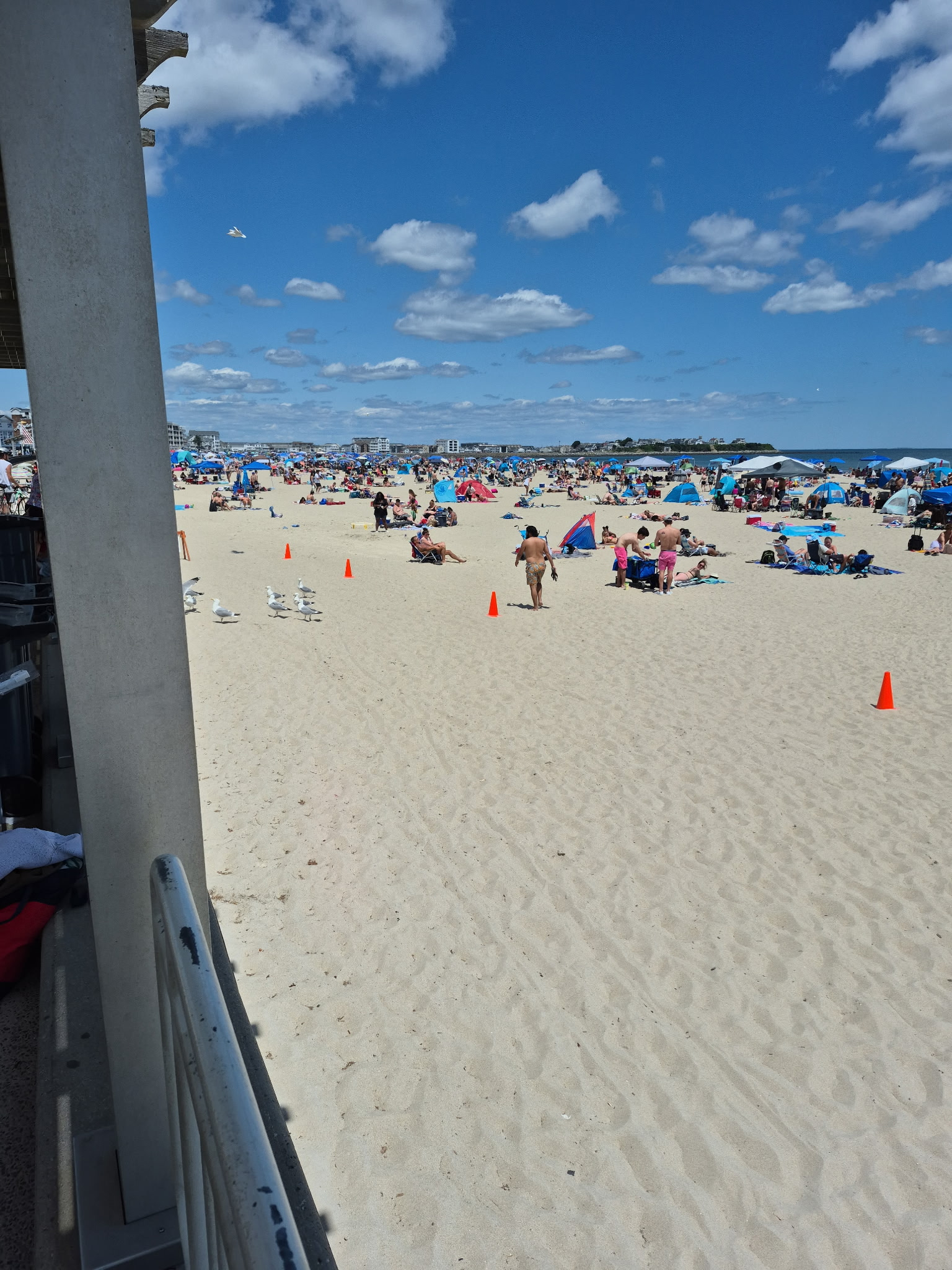 IMG_20250704_142736.jpg