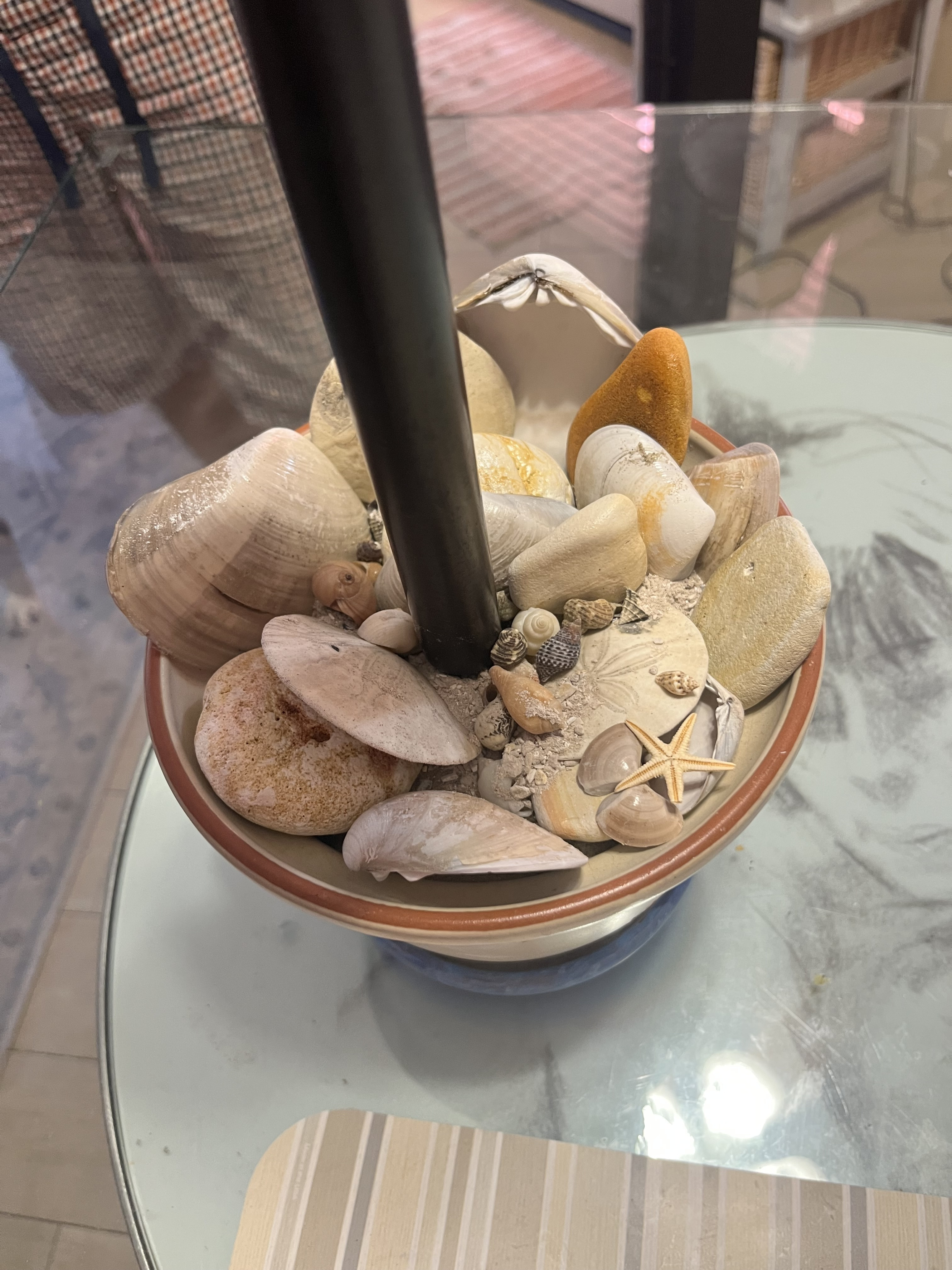 IMG_2942.jpeg