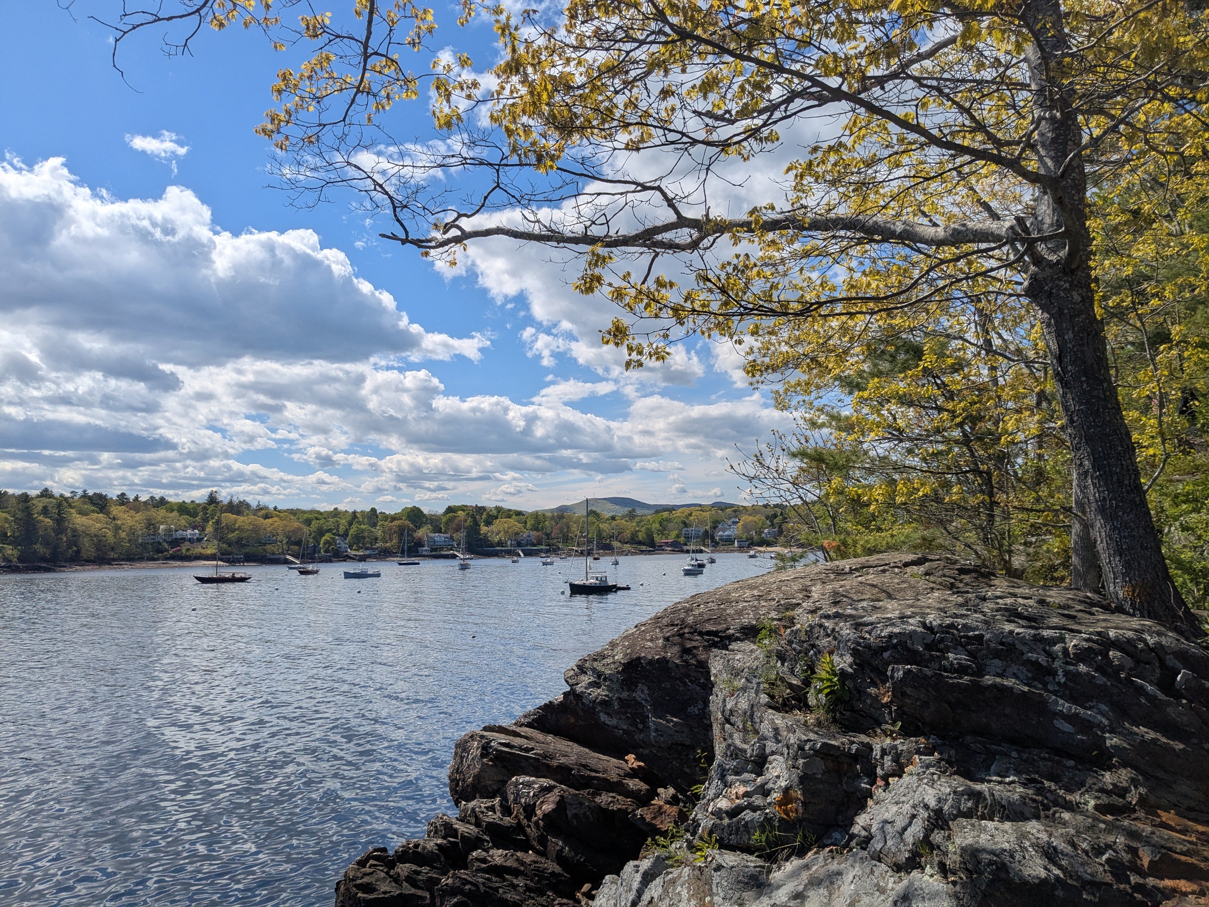05 26 25  Rockland Harbor, ME 10   Rockport Shore Trail.jpg