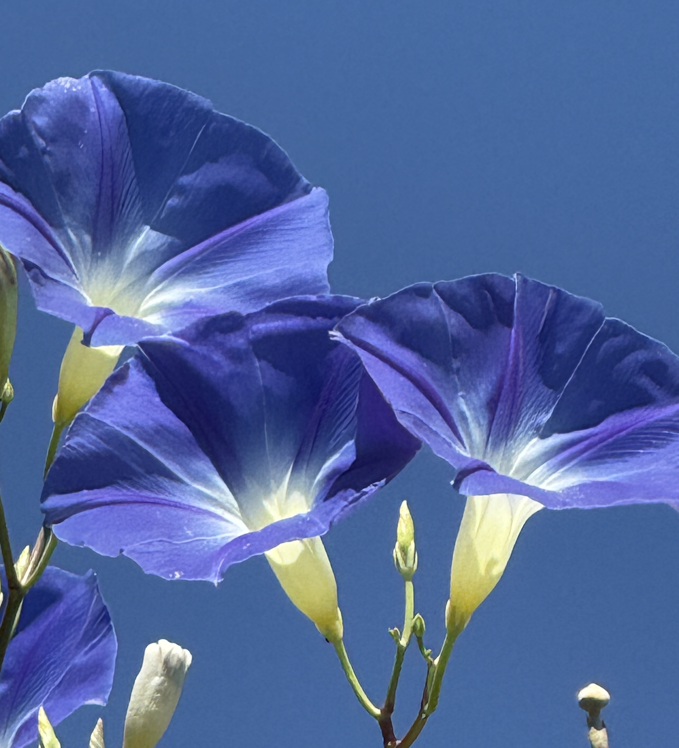 Screenshot 2025-10-17 at 6.39.51 AM.png