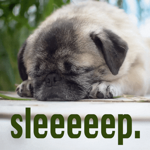 Tired Rise And Shine GIF by Sealed With A GIF (2).gif